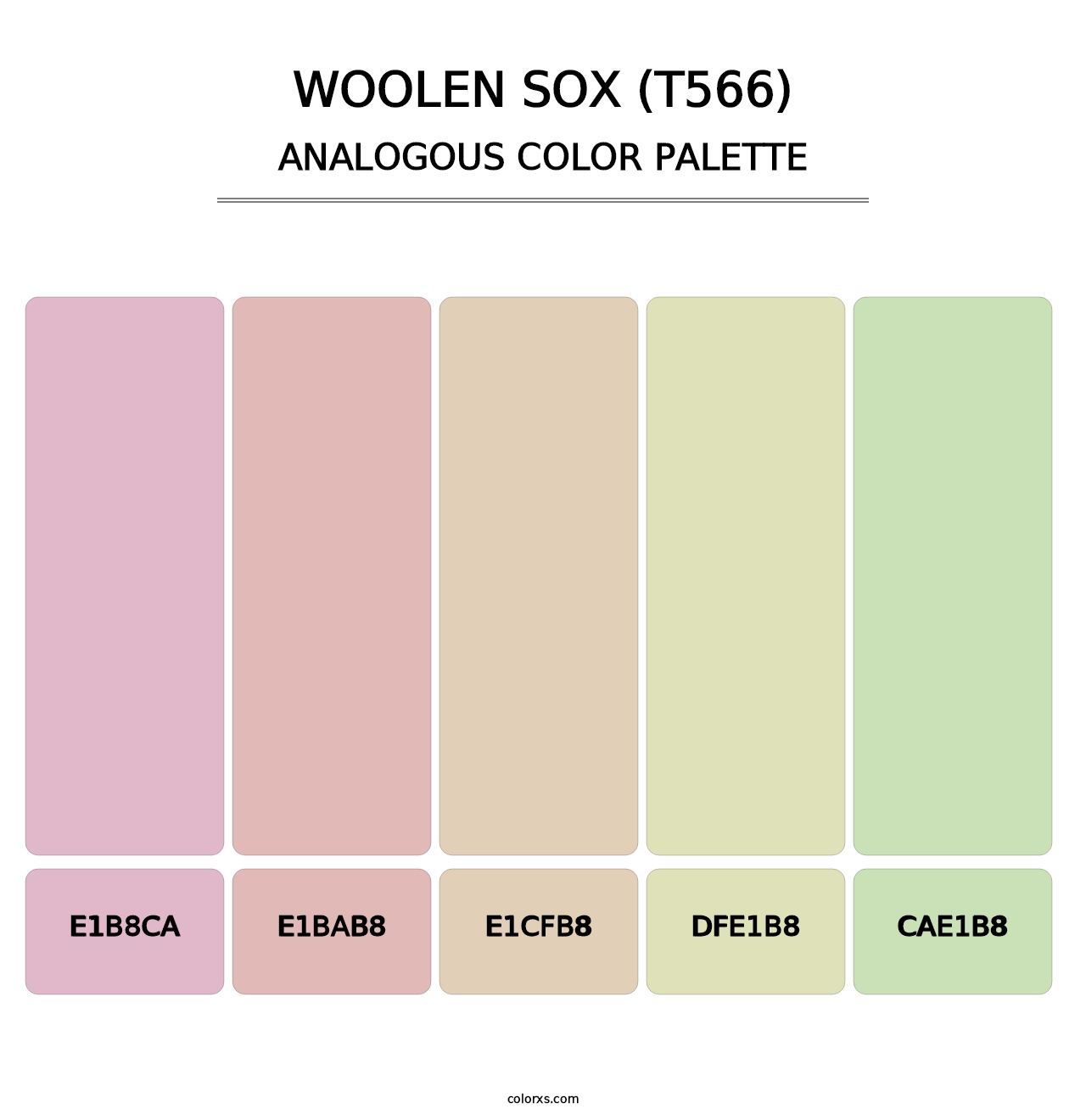 Woolen Sox (T566) - Analogous Color Palette