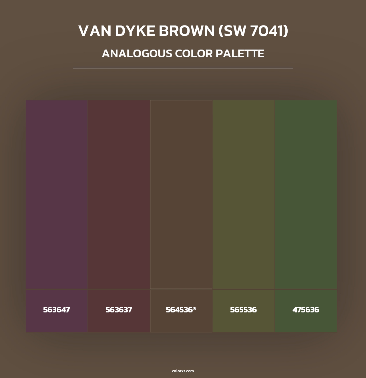 Van Dyke Brown (SW 7041) - Analogous Color Palette