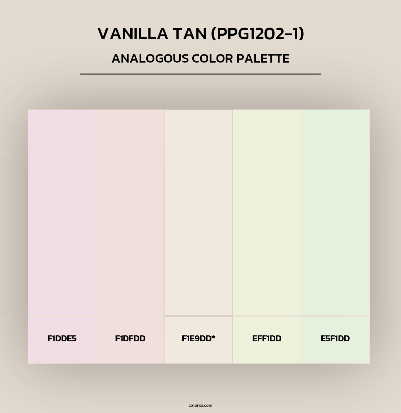 Vanilla Tan (PPG1202-1) - Analogous Color Palette