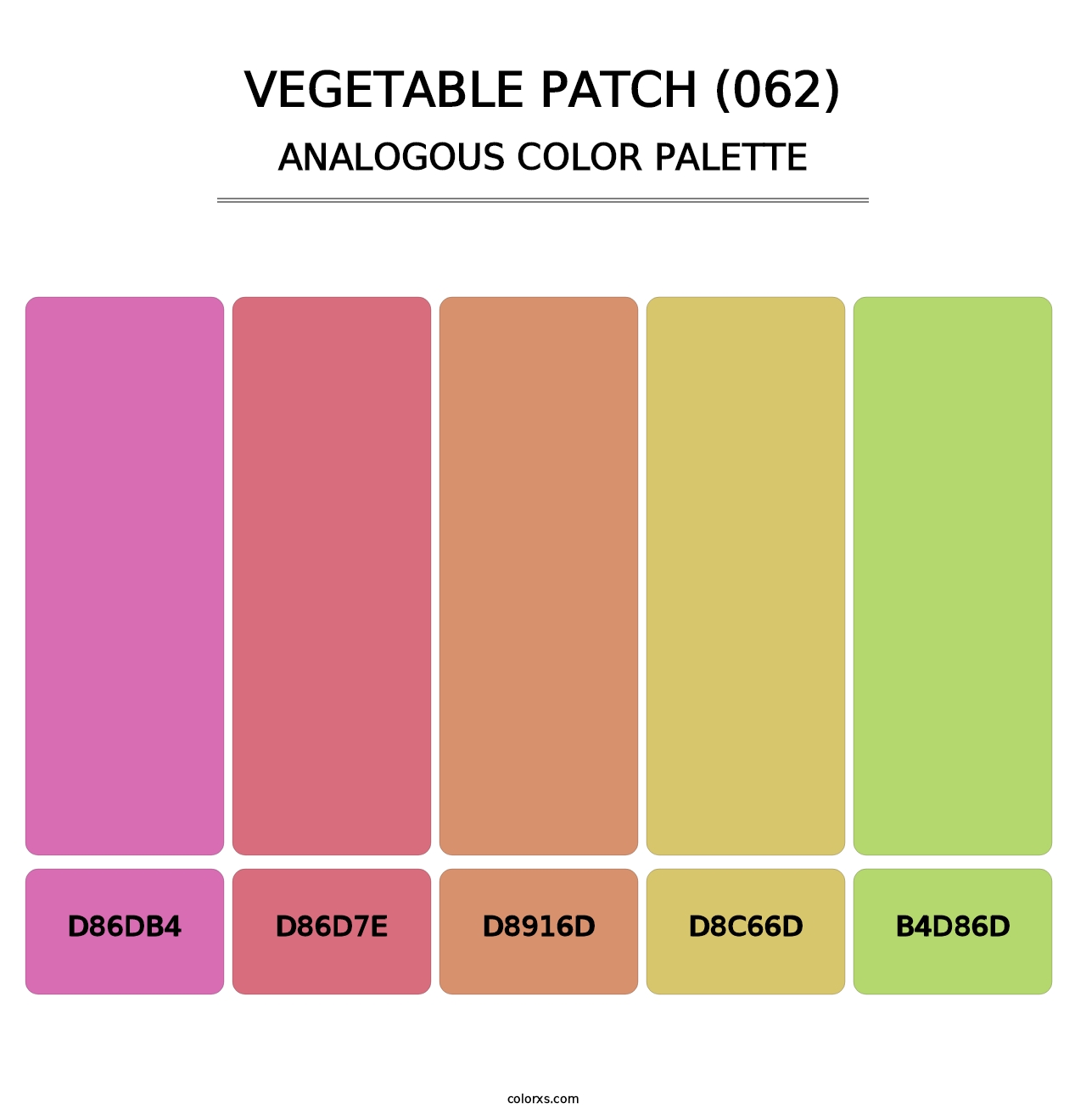 Vegetable Patch (062) - Analogous Color Palette