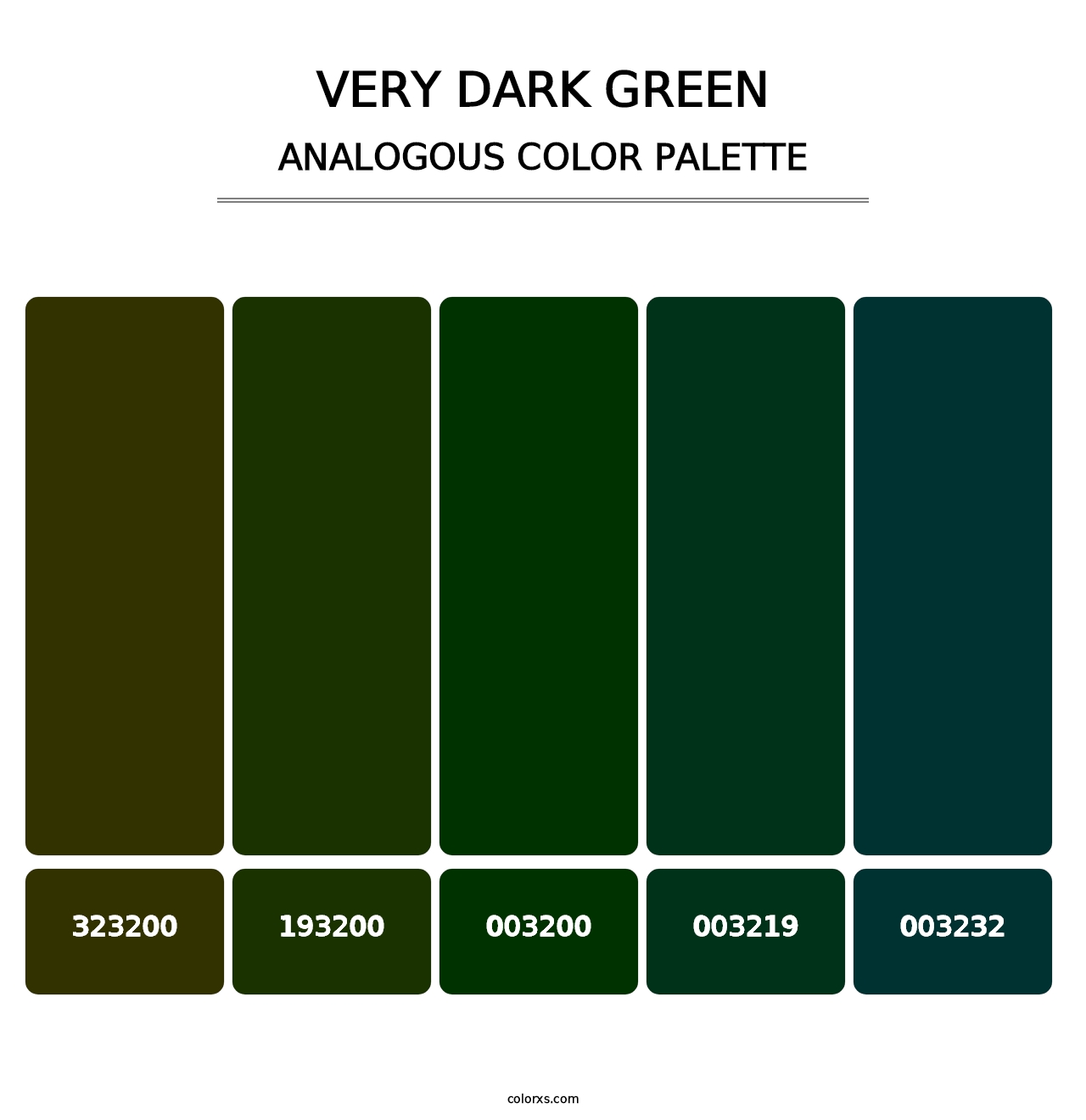 Very Dark Green - Analogous Color Palette