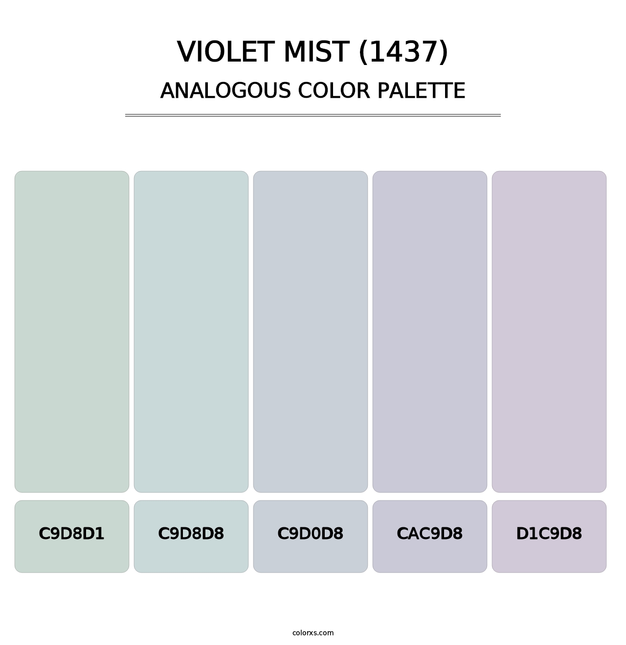 Violet Mist (1437) - Analogous Color Palette