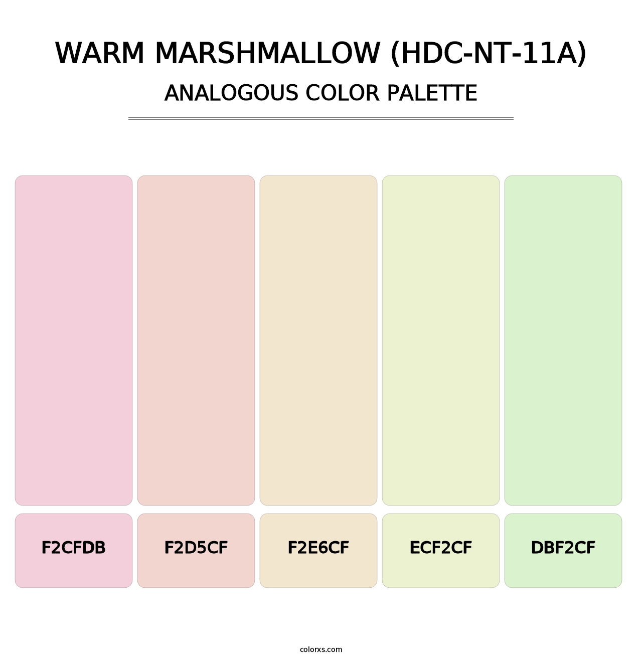 Warm Marshmallow (HDC-NT-11A) - Analogous Color Palette