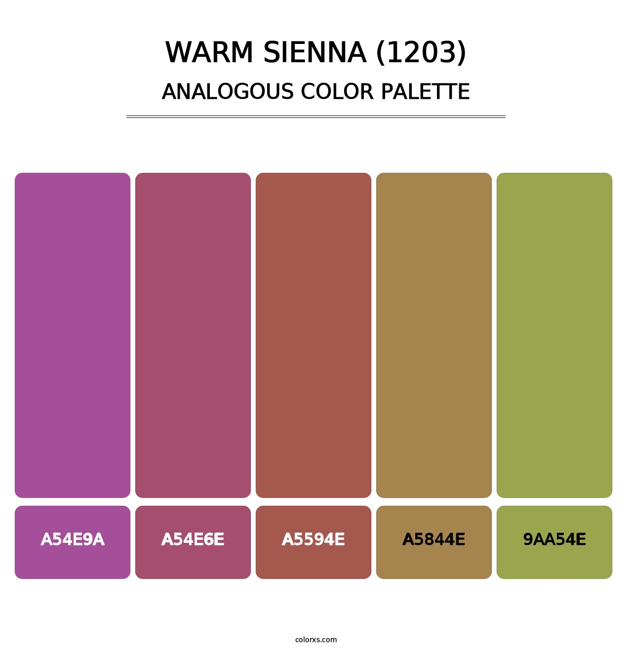 Warm Sienna (1203) - Analogous Color Palette
