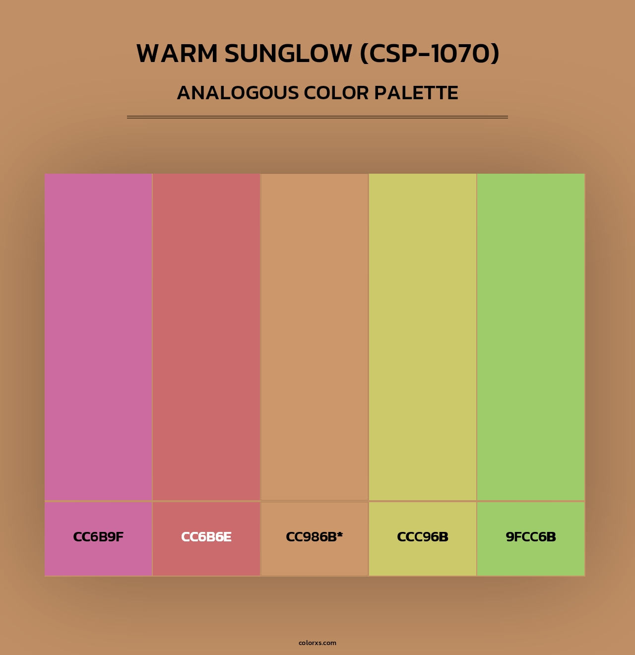 Warm Sunglow (CSP-1070) - Analogous Color Palette