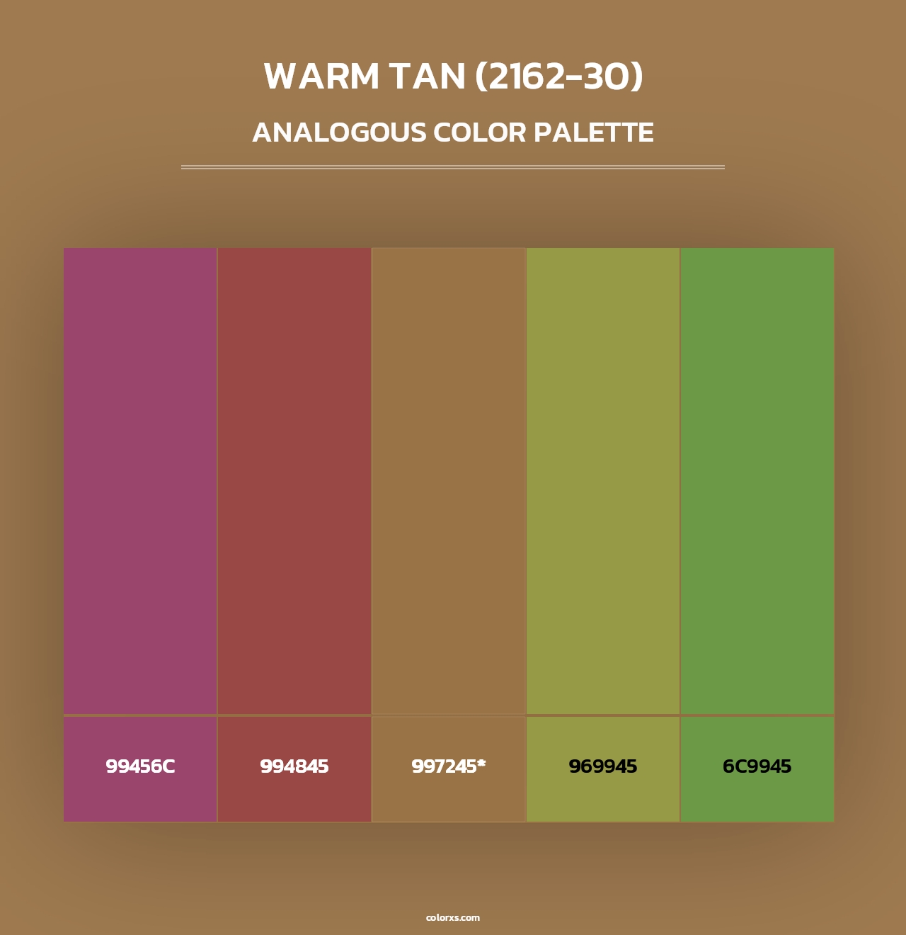 Warm Tan (2162-30) - Analogous Color Palette