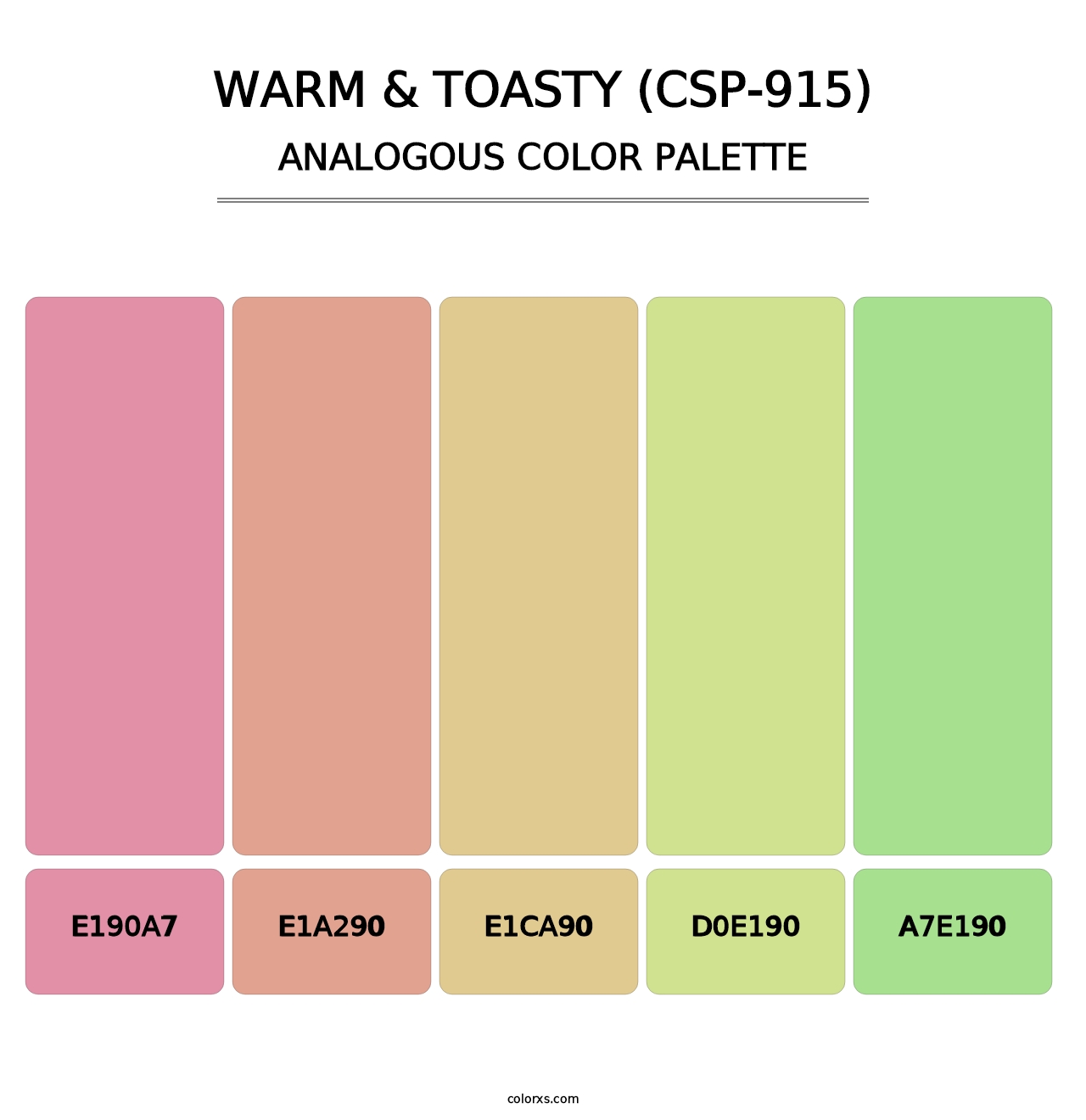 Warm & Toasty (CSP-915) - Analogous Color Palette