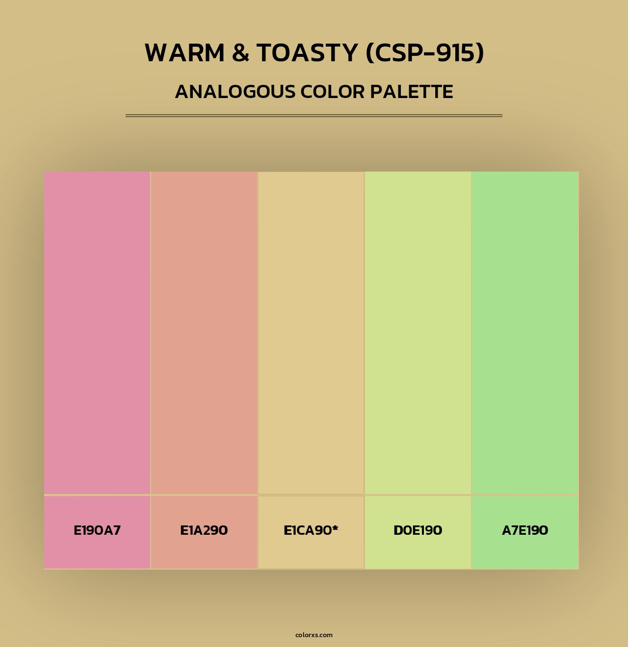 Warm & Toasty (CSP-915) - Analogous Color Palette
