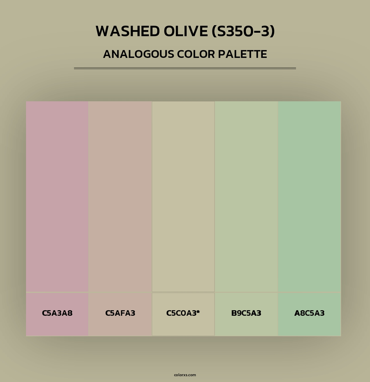 Washed Olive (S350-3) - Analogous Color Palette