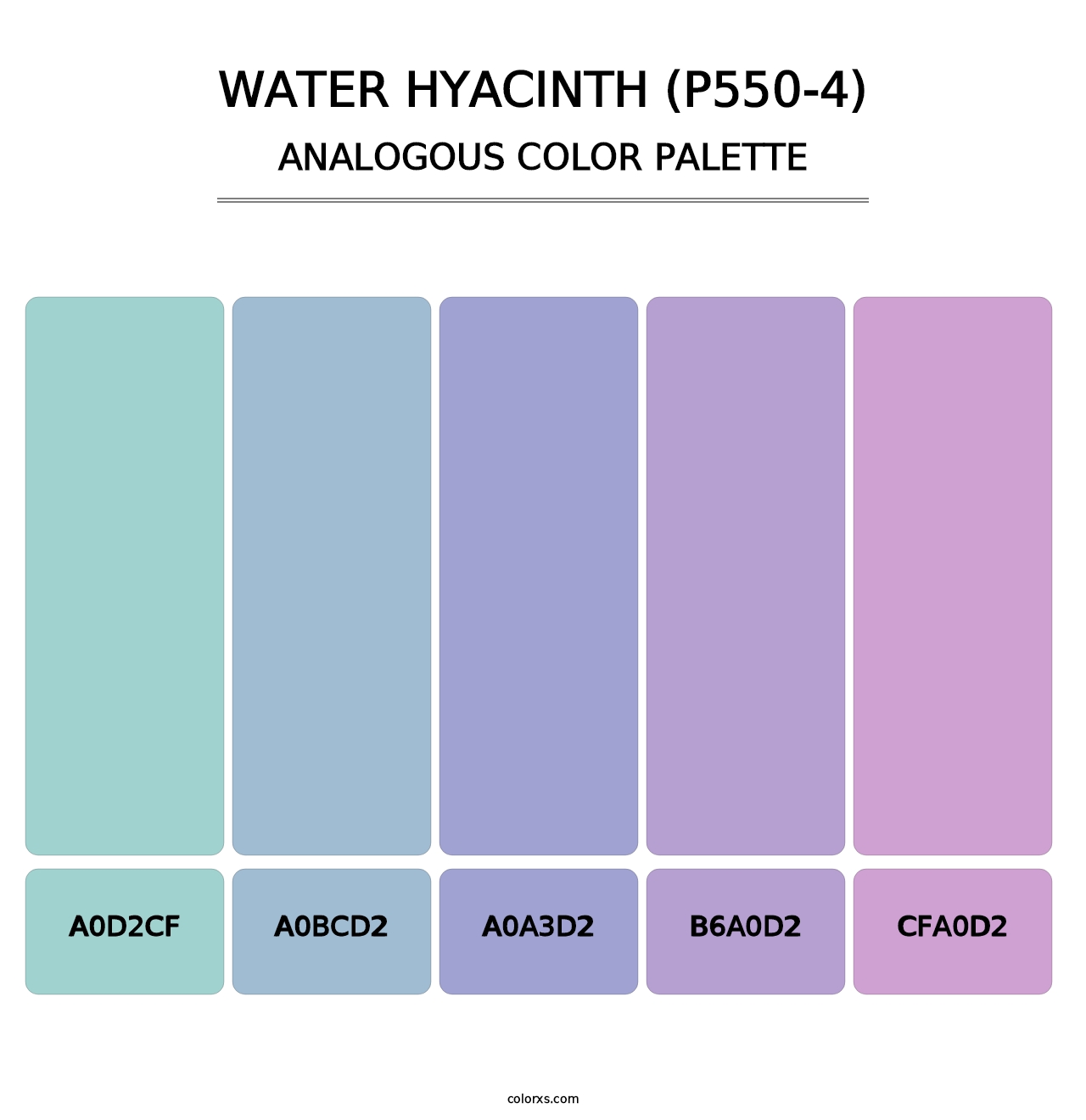 Water Hyacinth (P550-4) - Analogous Color Palette