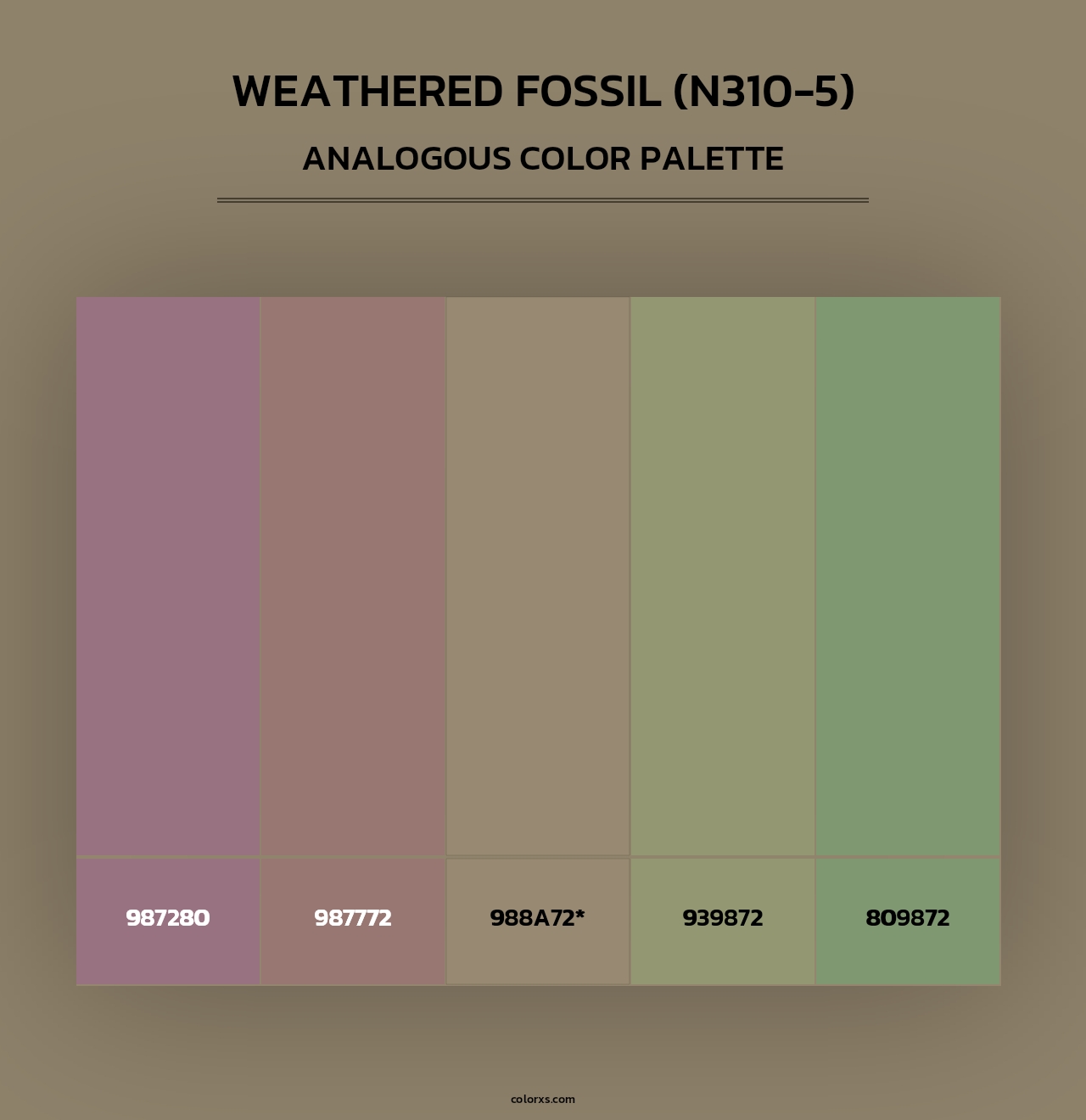 Weathered Fossil (N310-5) - Analogous Color Palette