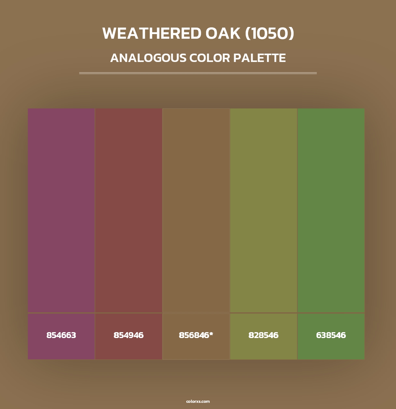 Weathered Oak (1050) - Analogous Color Palette