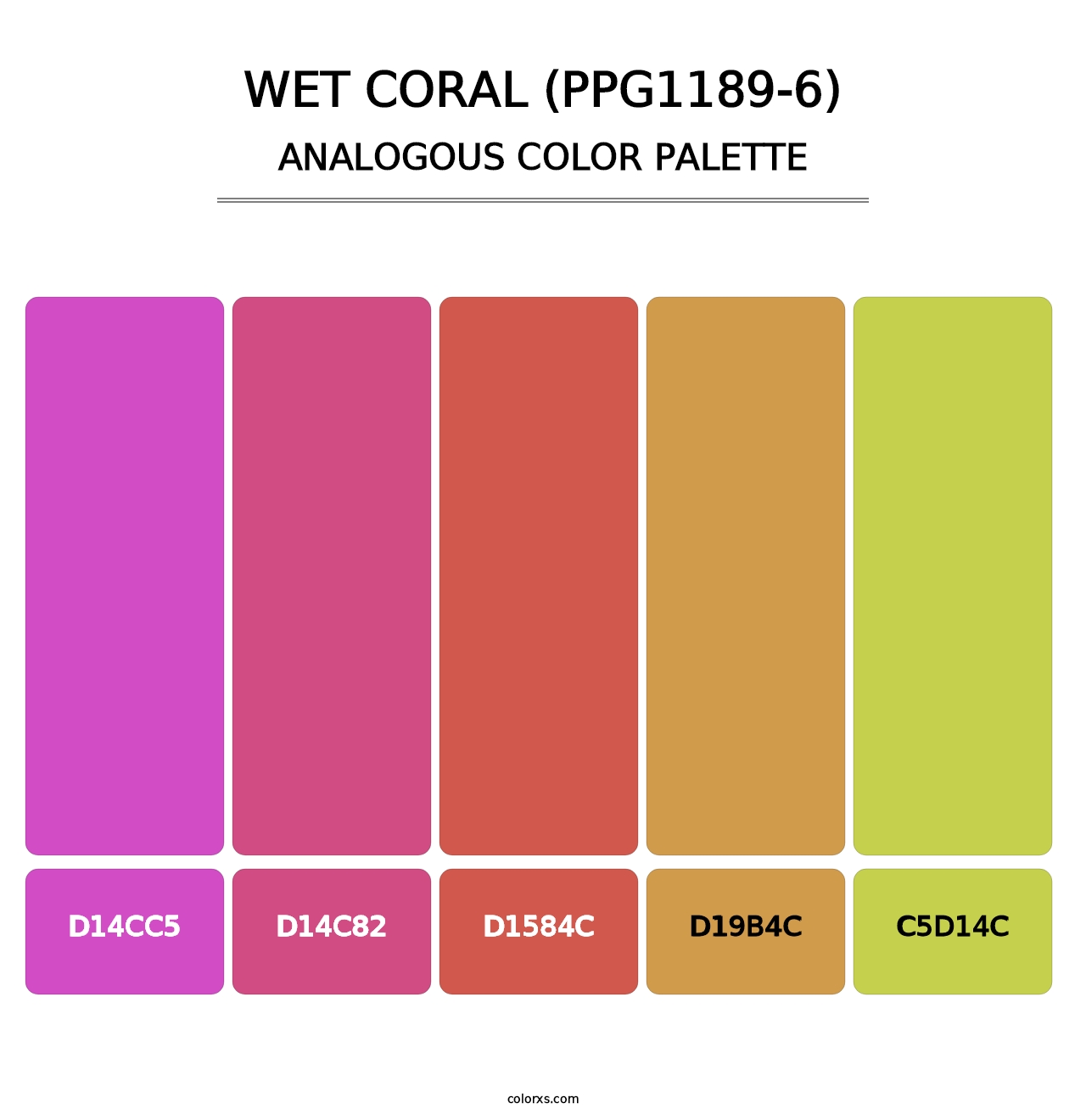 Wet Coral (PPG1189-6) - Analogous Color Palette