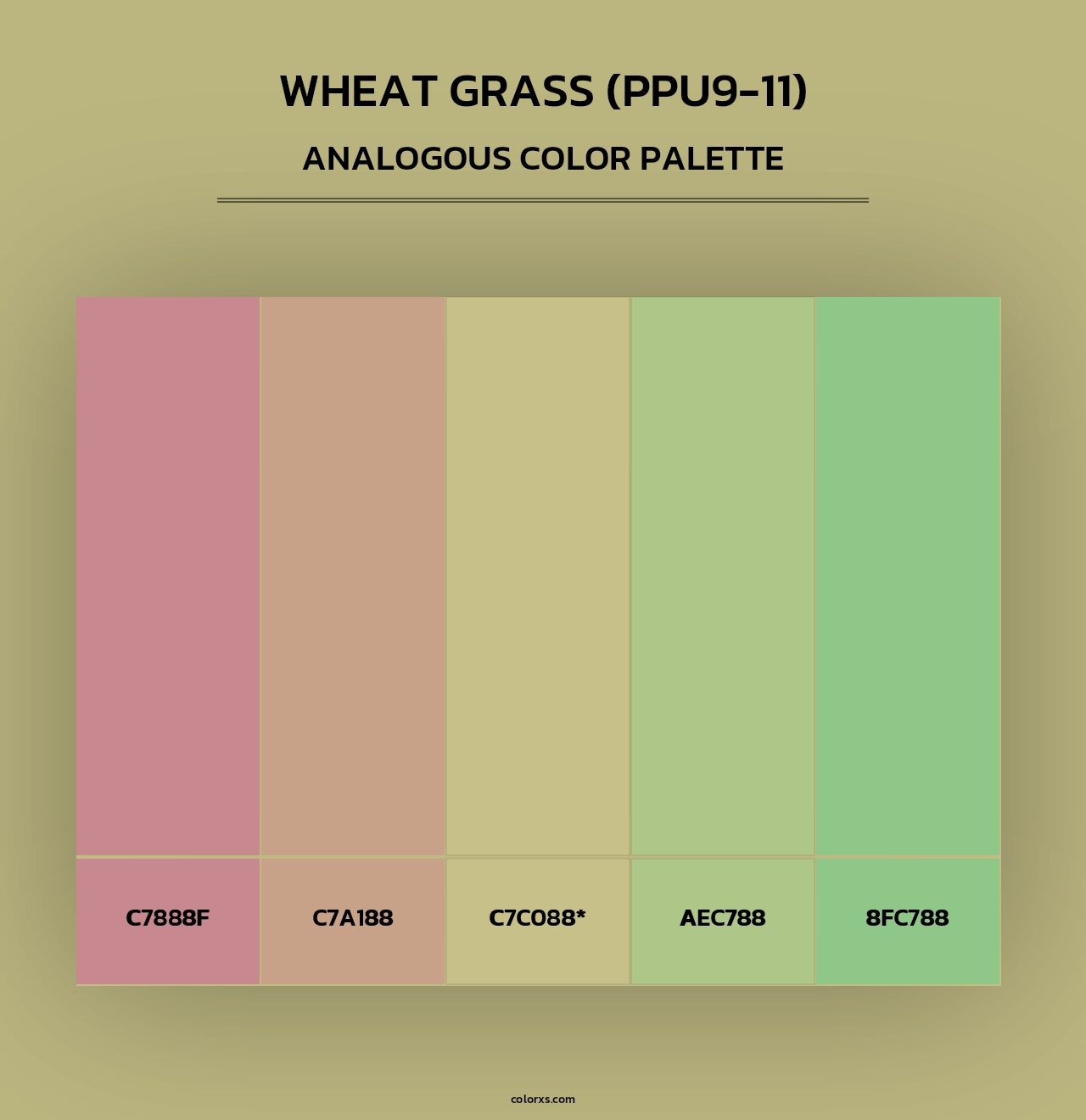 Wheat Grass (PPU9-11) - Analogous Color Palette