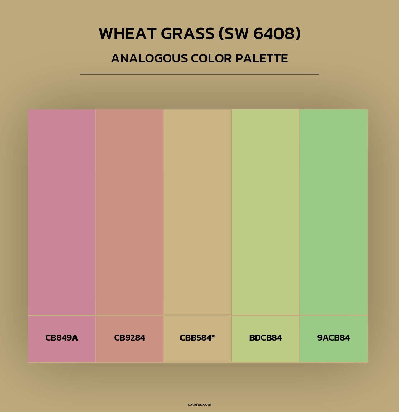 Wheat Grass (SW 6408) - Analogous Color Palette