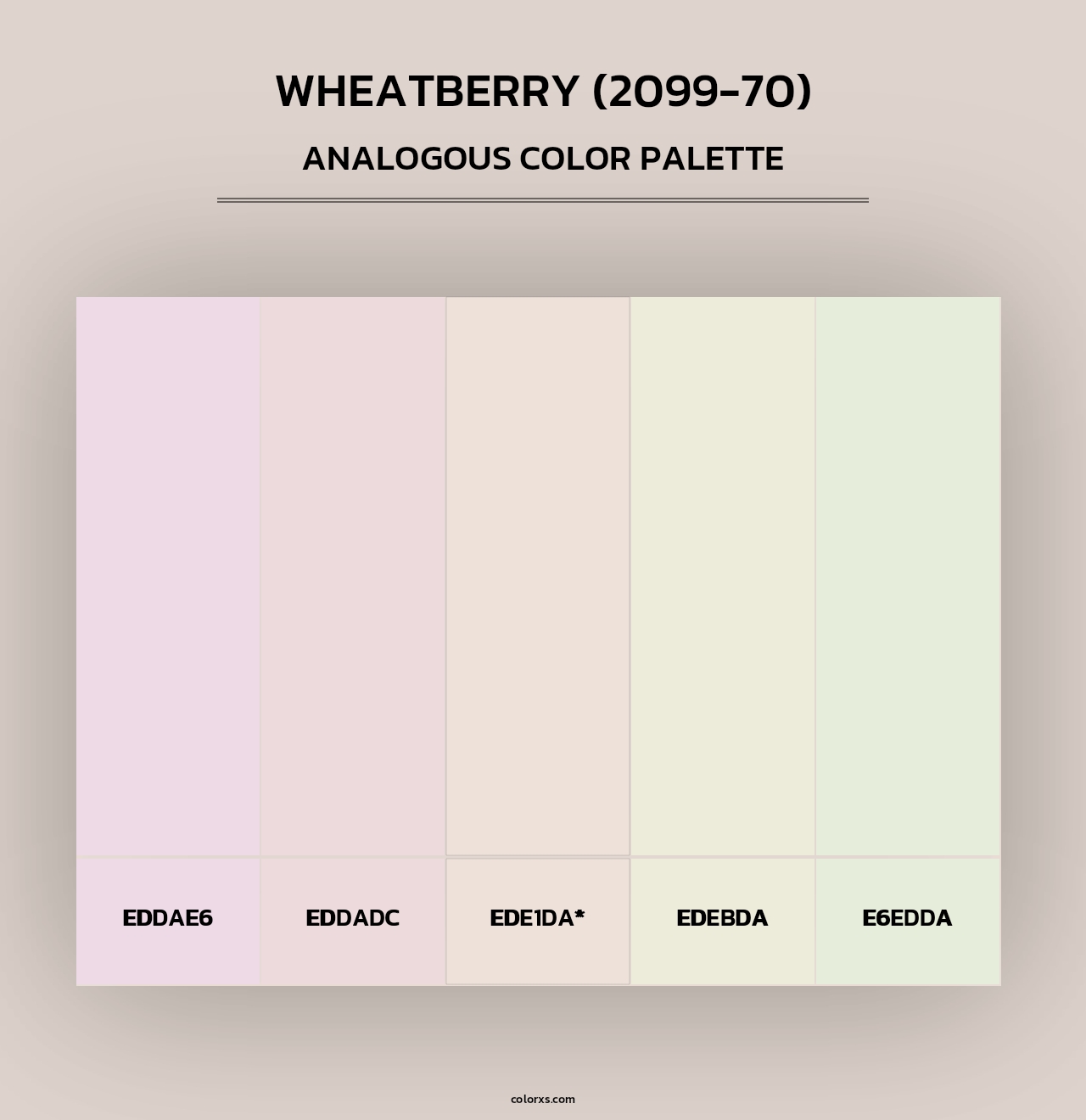 Wheatberry (2099-70) - Analogous Color Palette