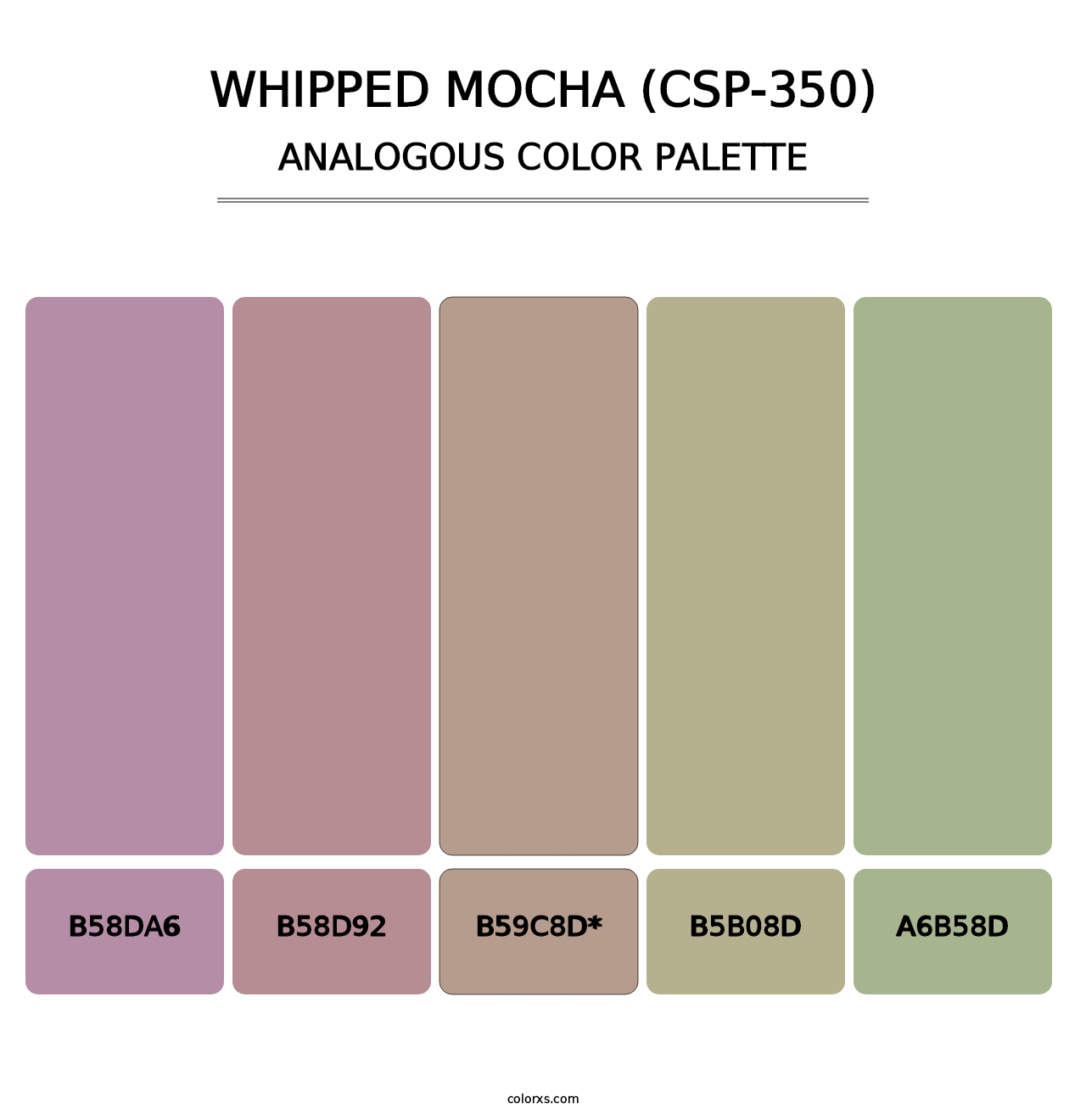 Whipped Mocha (CSP-350) - Analogous Color Palette