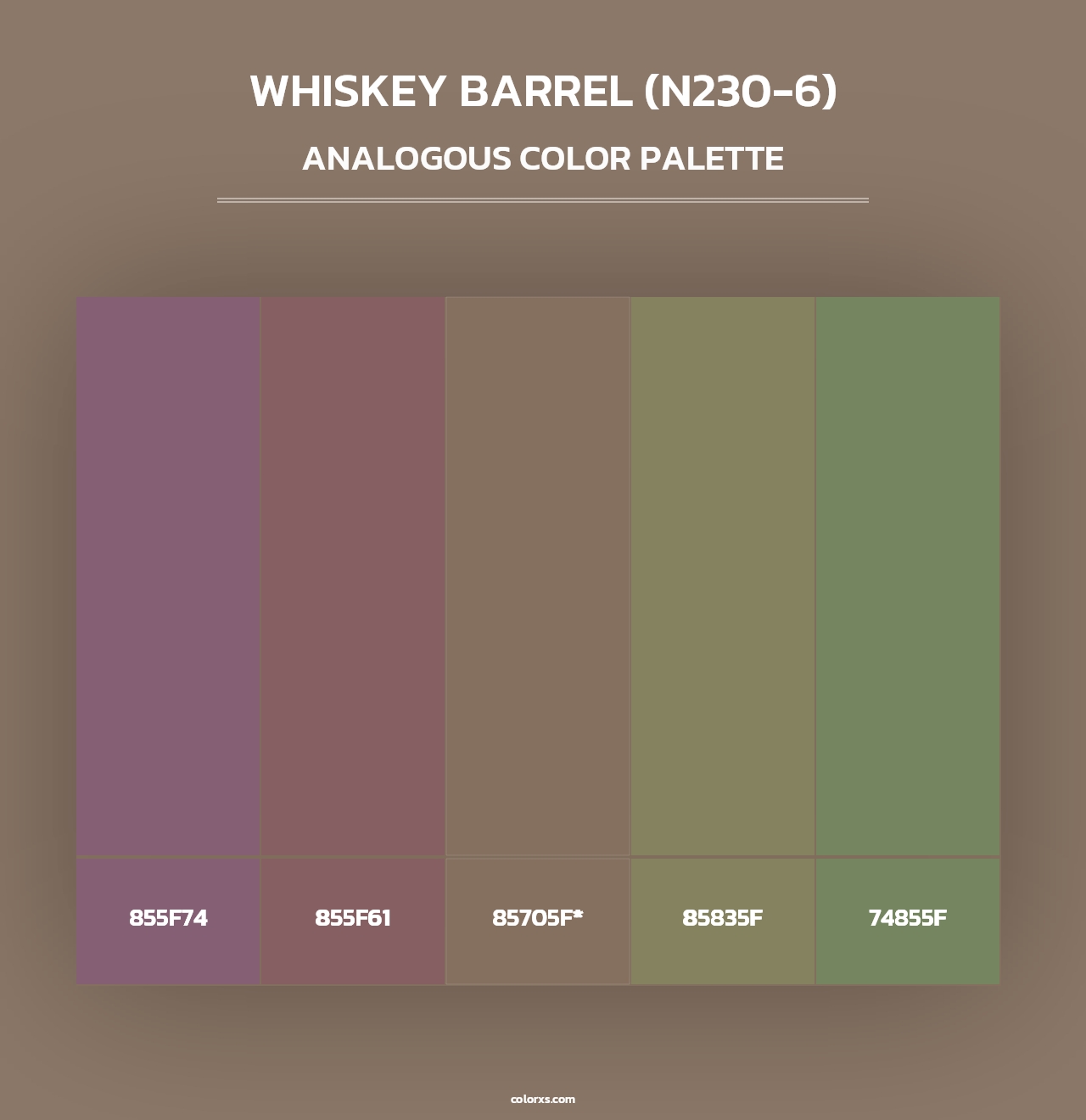 Whiskey Barrel (N230-6) - Analogous Color Palette