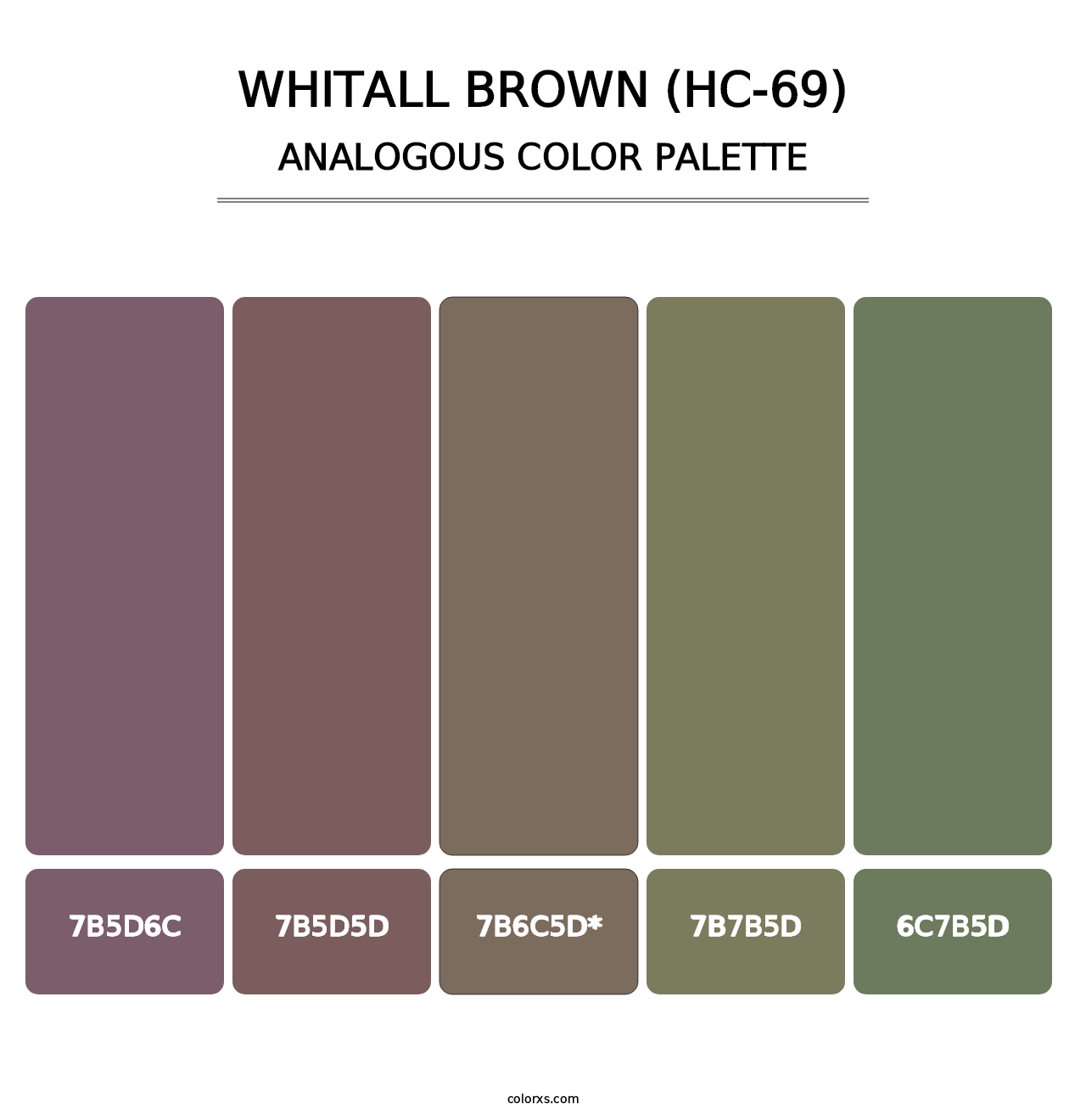 Whitall Brown (HC-69) - Analogous Color Palette