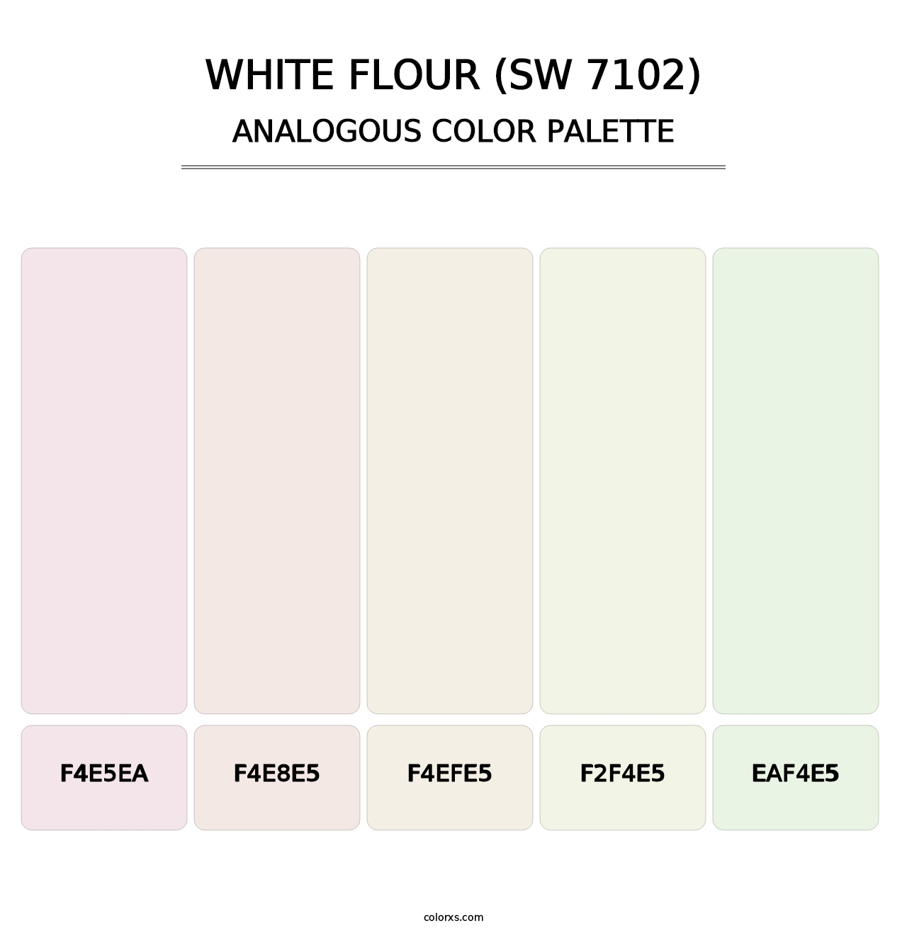 White Flour (SW 7102) - Analogous Color Palette