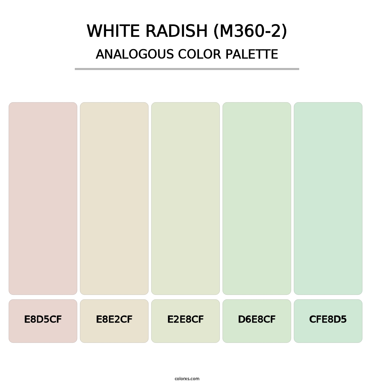 White Radish (M360-2) - Analogous Color Palette