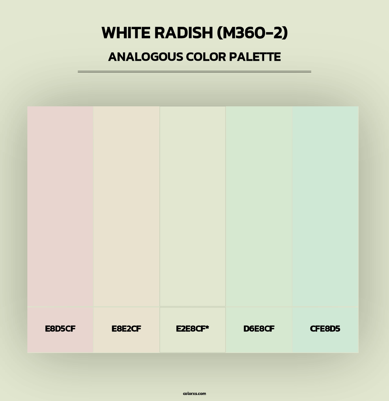White Radish (M360-2) - Analogous Color Palette