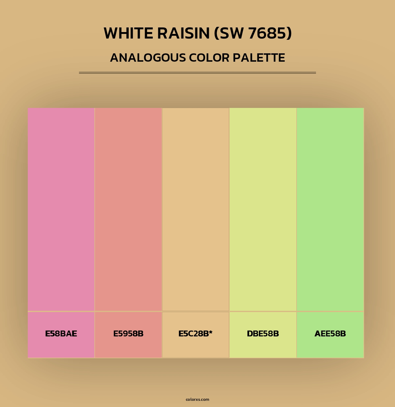 White Raisin (SW 7685) - Analogous Color Palette