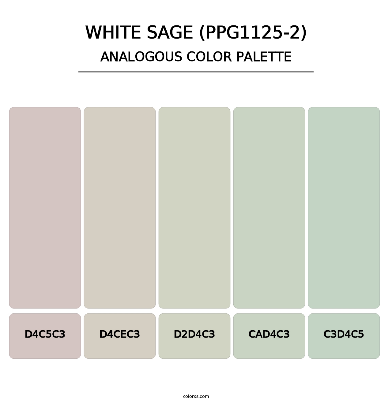 White Sage (PPG1125-2) - Analogous Color Palette