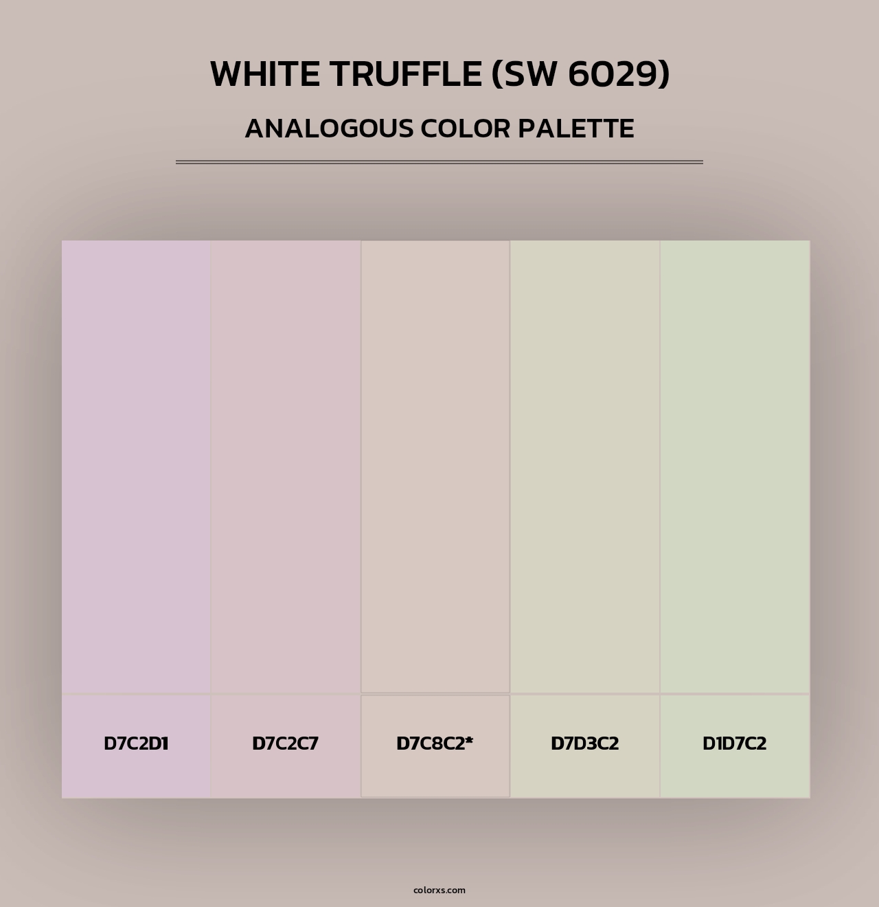 White Truffle (SW 6029) - Analogous Color Palette