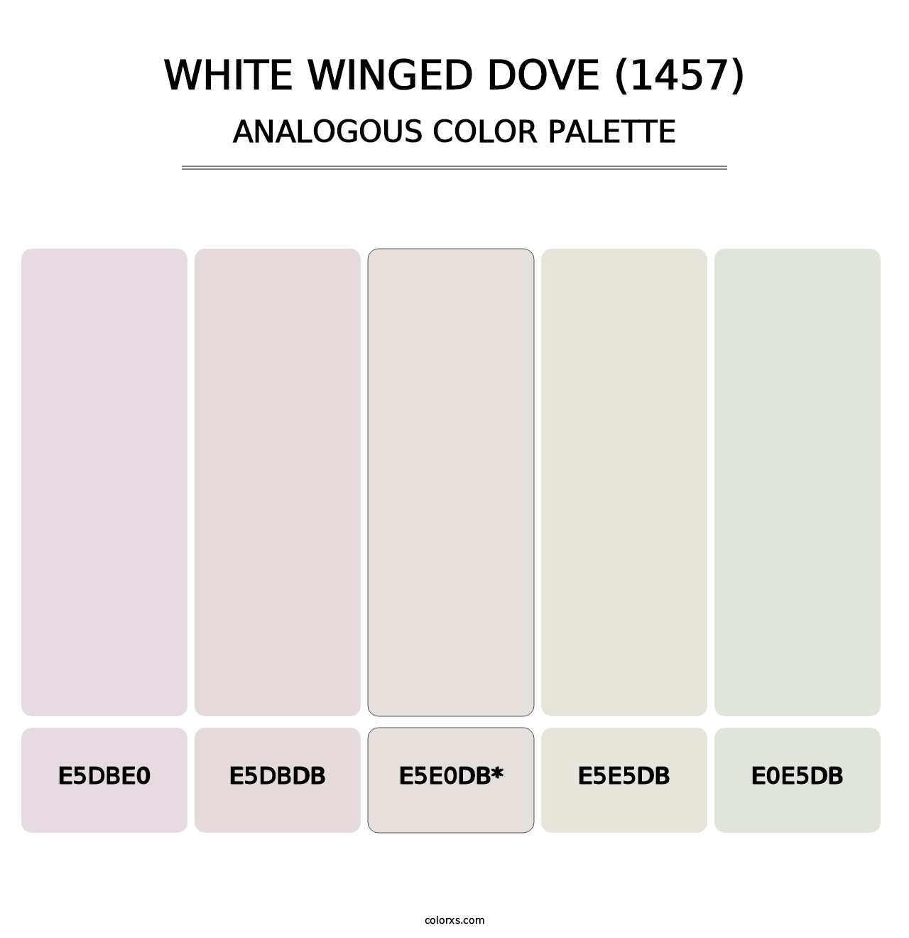 White Winged Dove (1457) - Analogous Color Palette