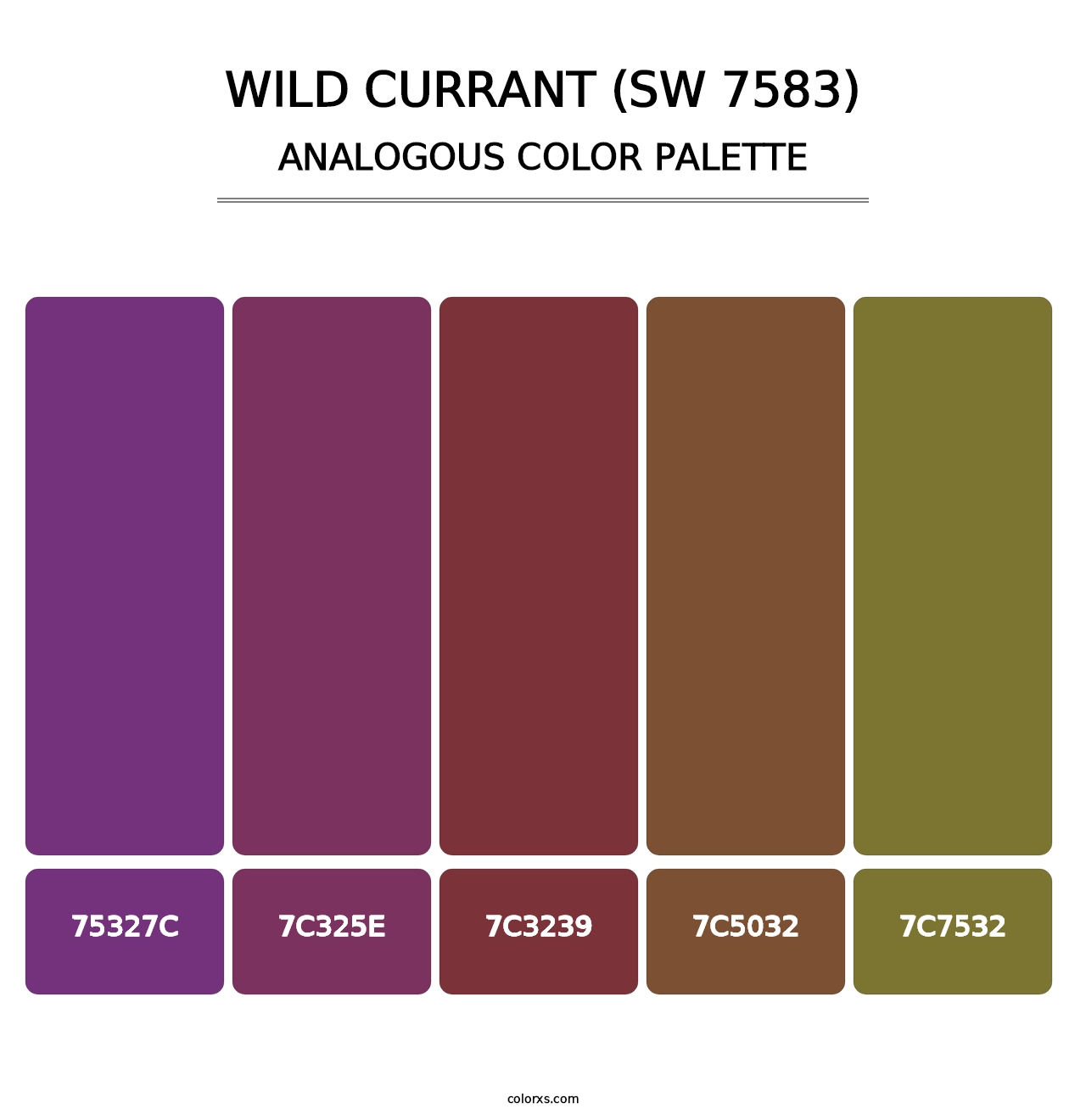 Wild Currant (SW 7583) - Analogous Color Palette