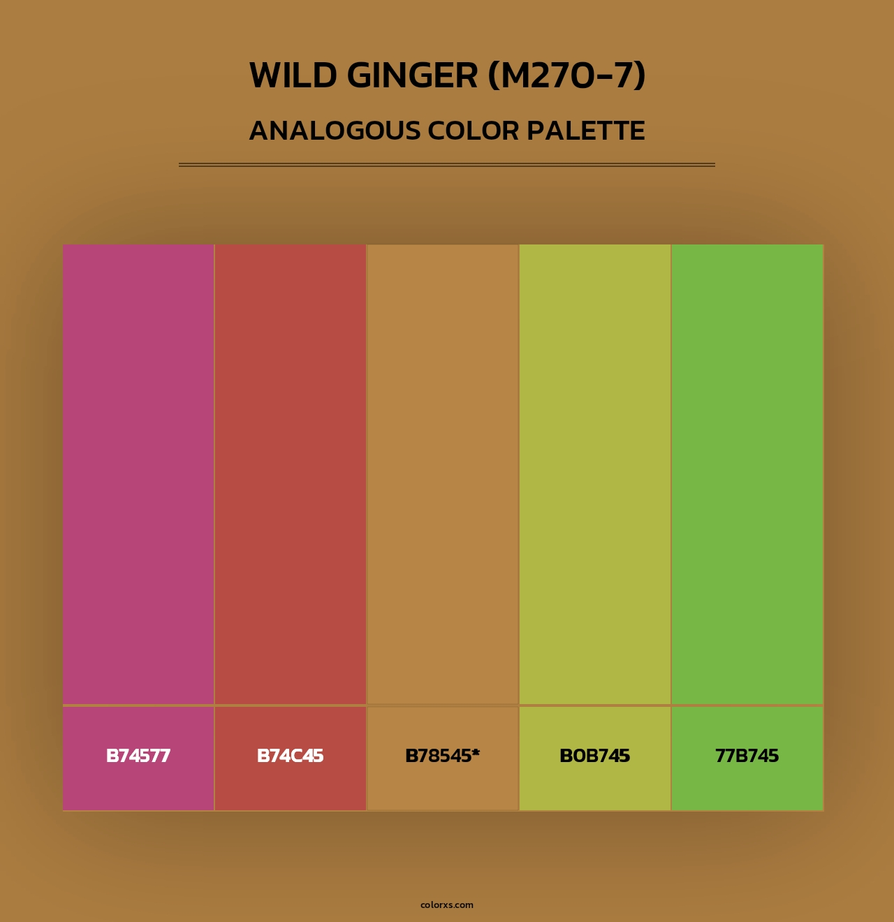 Wild Ginger (M270-7) - Analogous Color Palette