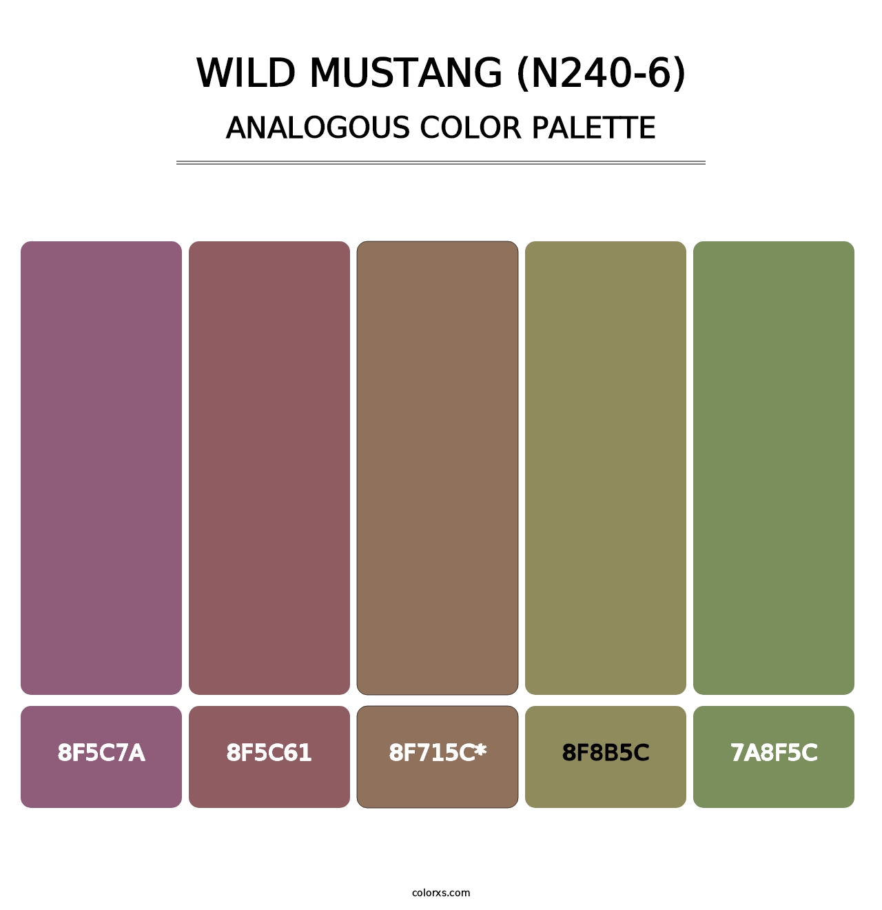 Wild Mustang (N240-6) - Analogous Color Palette