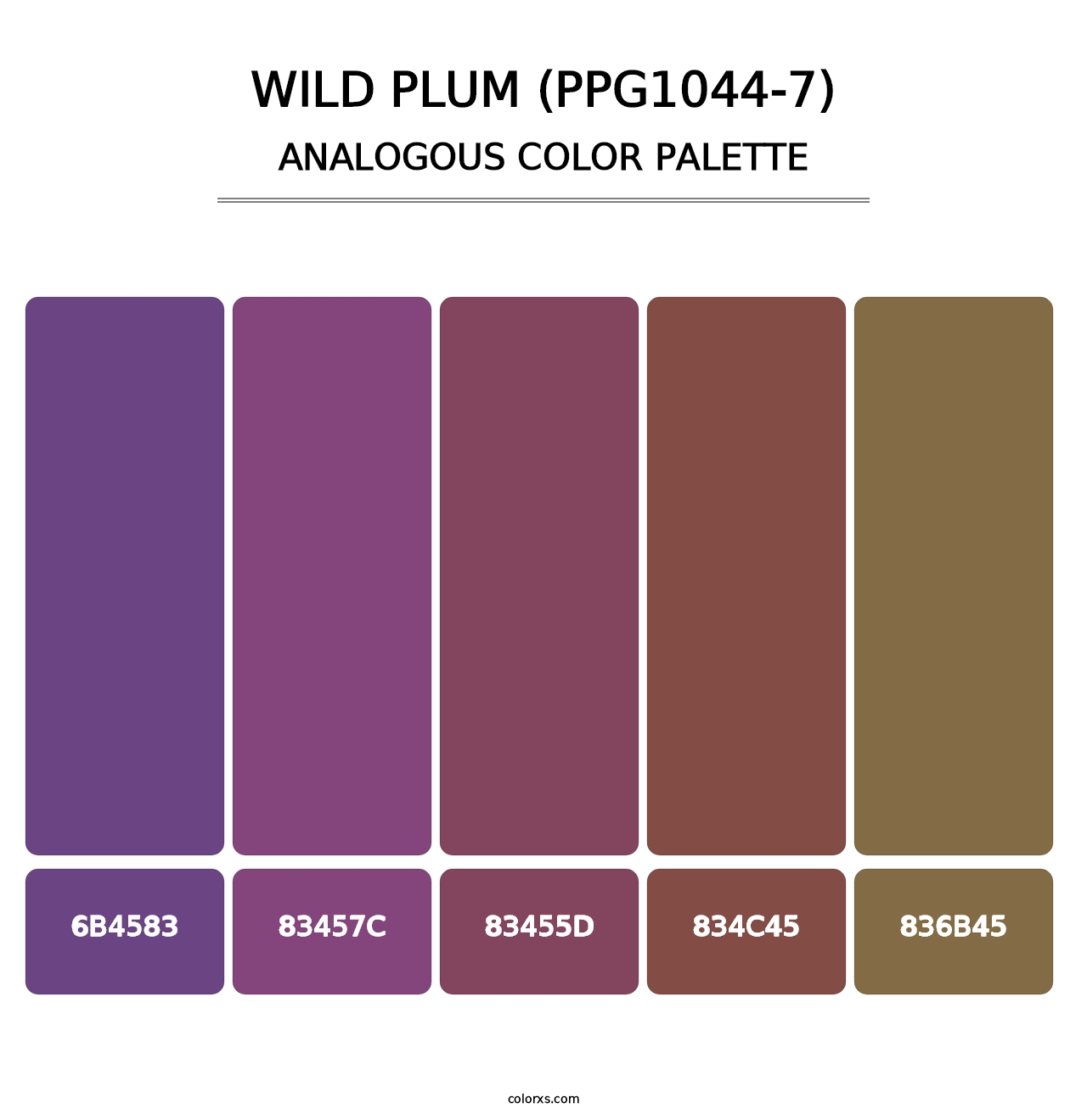 Wild Plum (PPG1044-7) - Analogous Color Palette