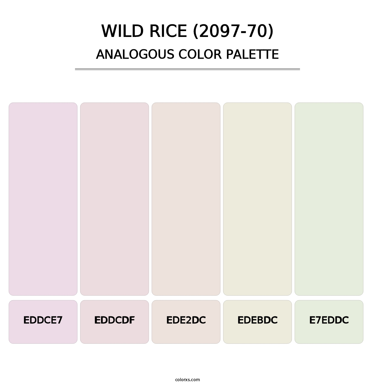 Wild Rice (2097-70) - Analogous Color Palette