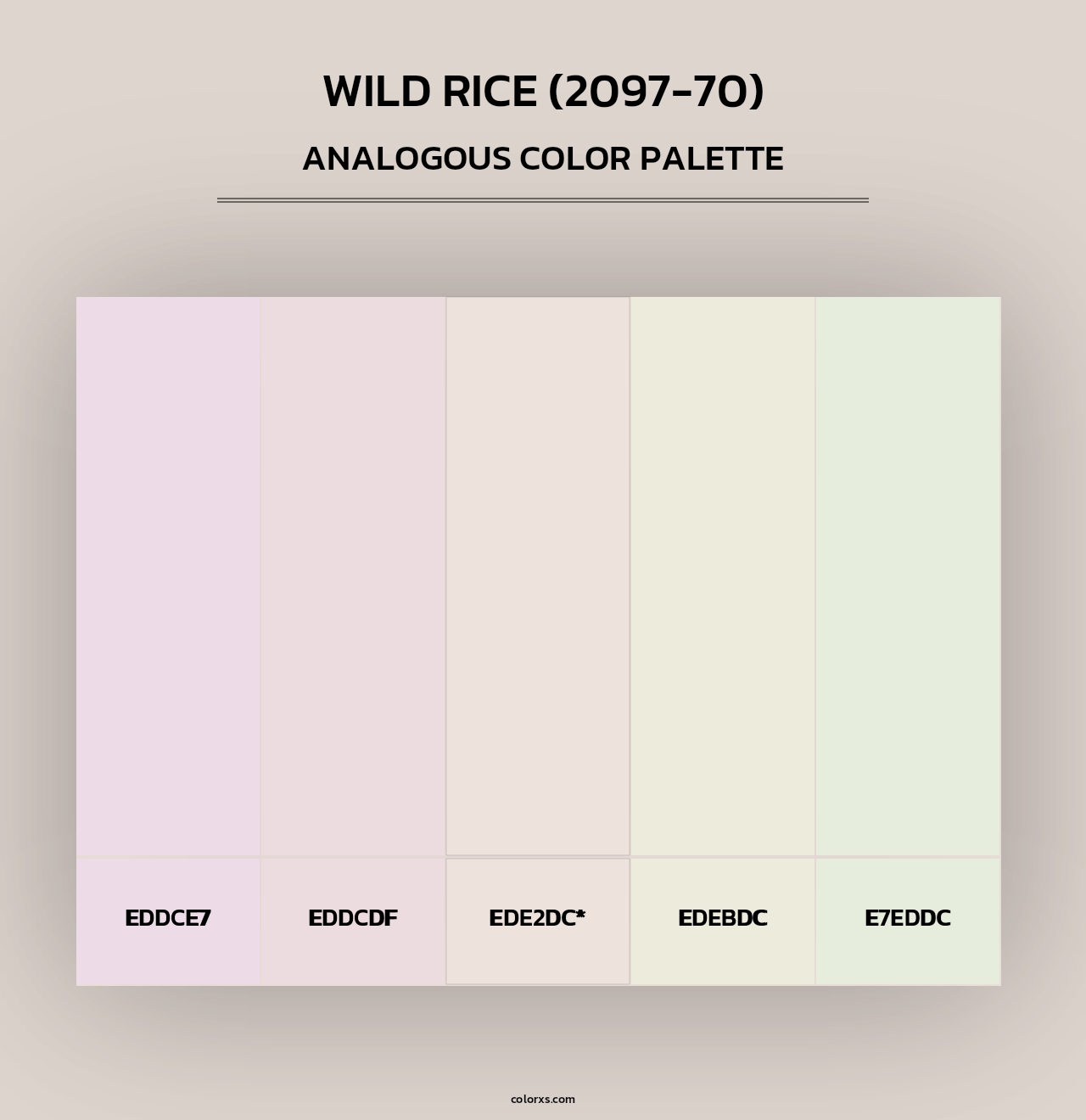 Wild Rice (2097-70) - Analogous Color Palette