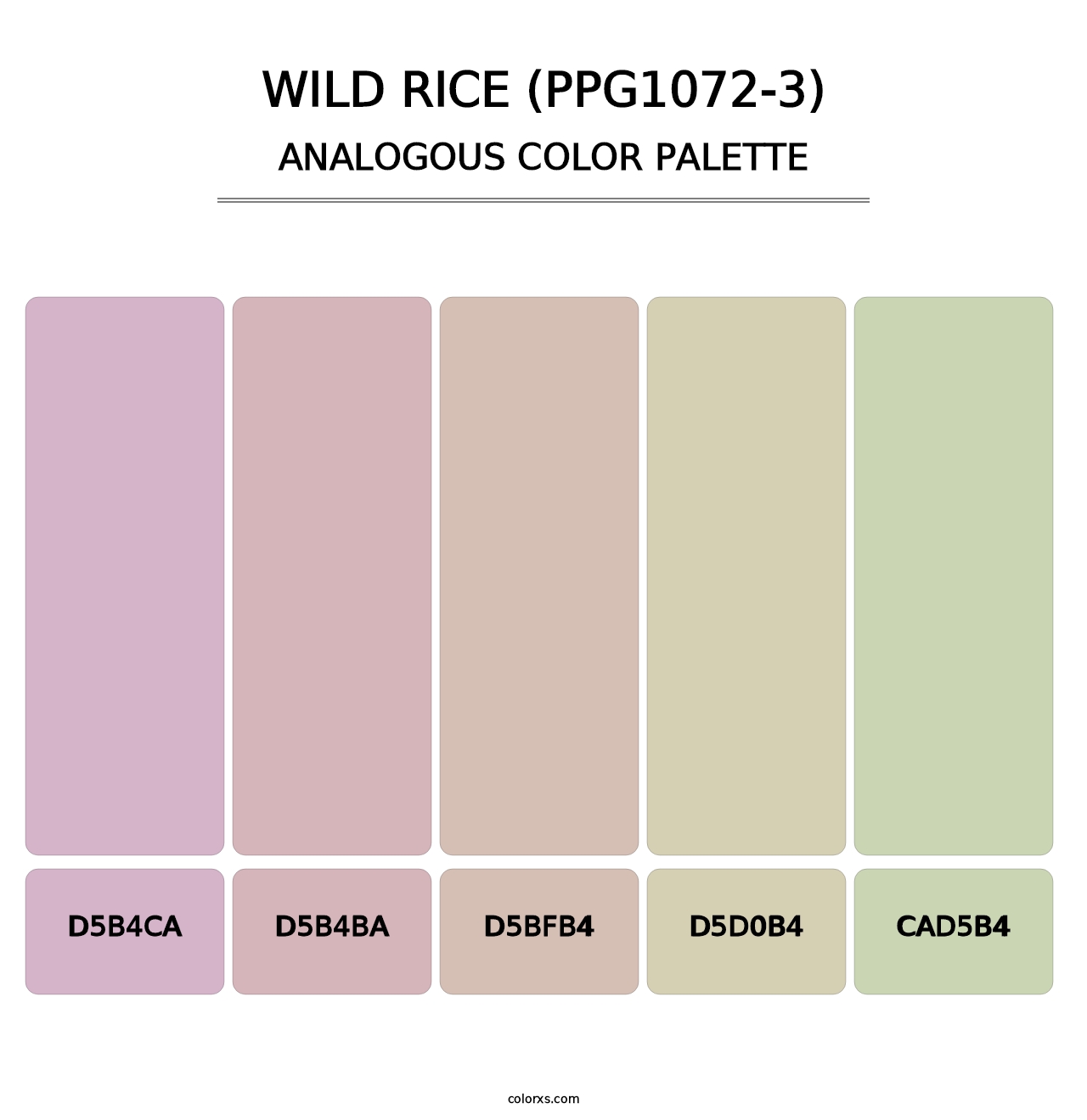 Wild Rice (PPG1072-3) - Analogous Color Palette