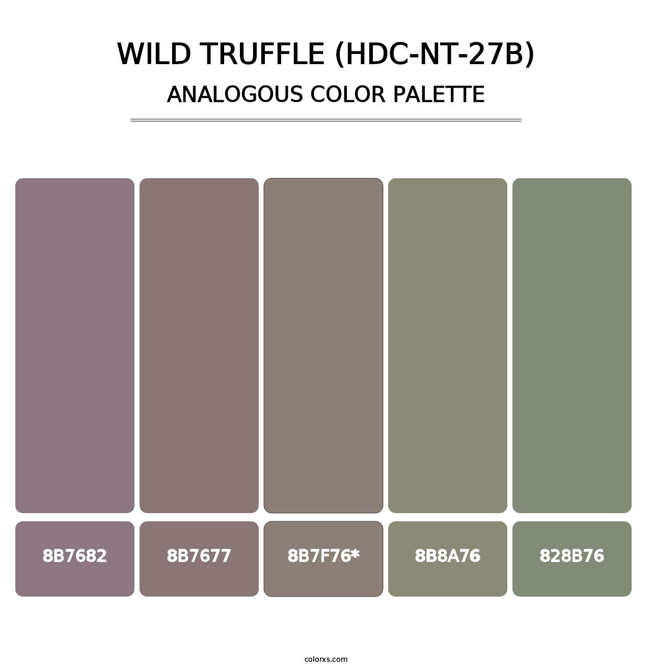 Wild Truffle (HDC-NT-27B) - Analogous Color Palette
