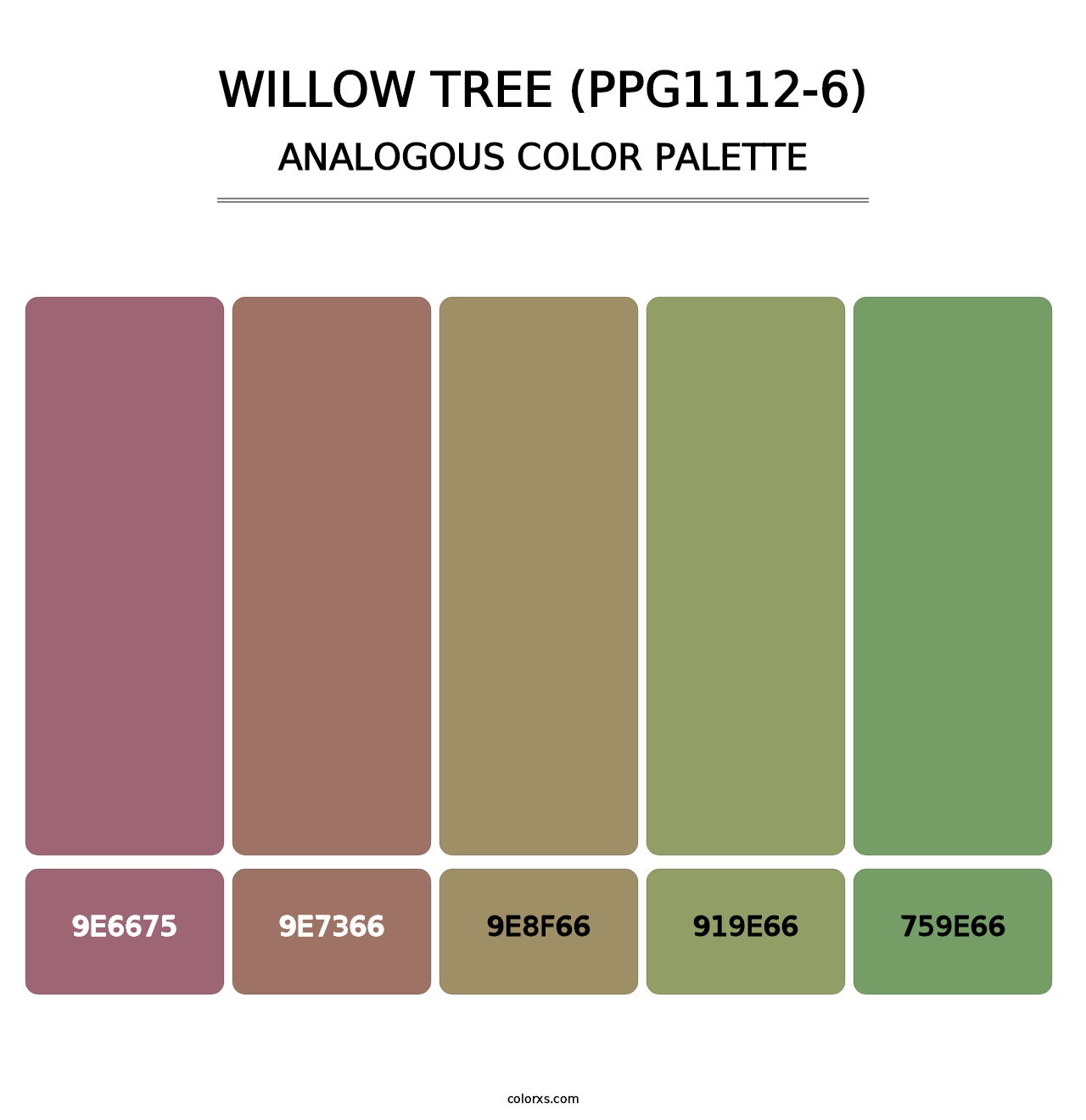 Willow Tree (PPG1112-6) - Analogous Color Palette