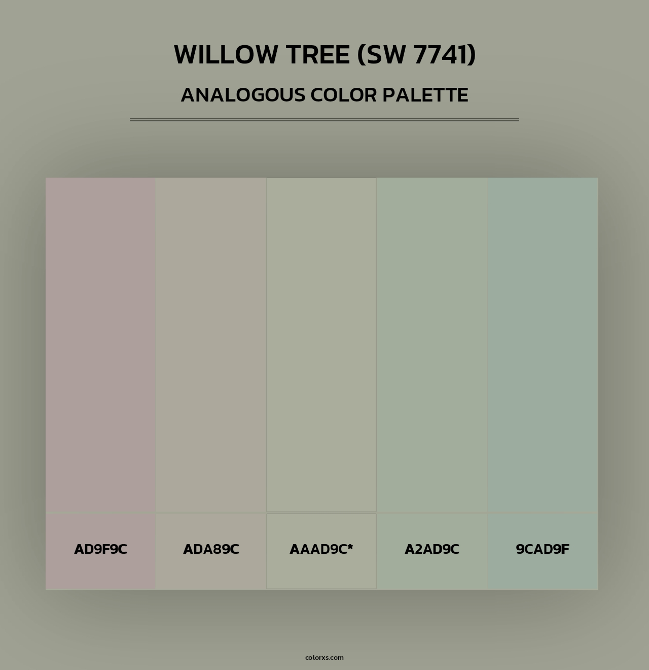 Willow Tree (SW 7741) - Analogous Color Palette