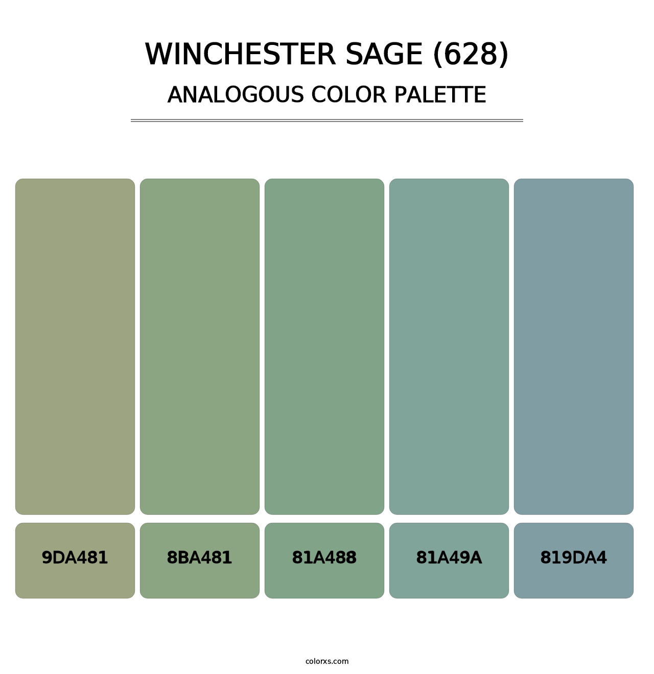 Winchester Sage (628) - Analogous Color Palette