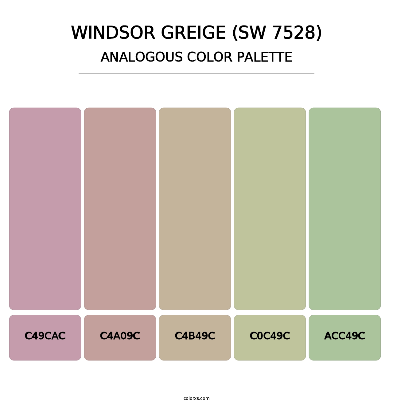 Windsor Greige (SW 7528) - Analogous Color Palette