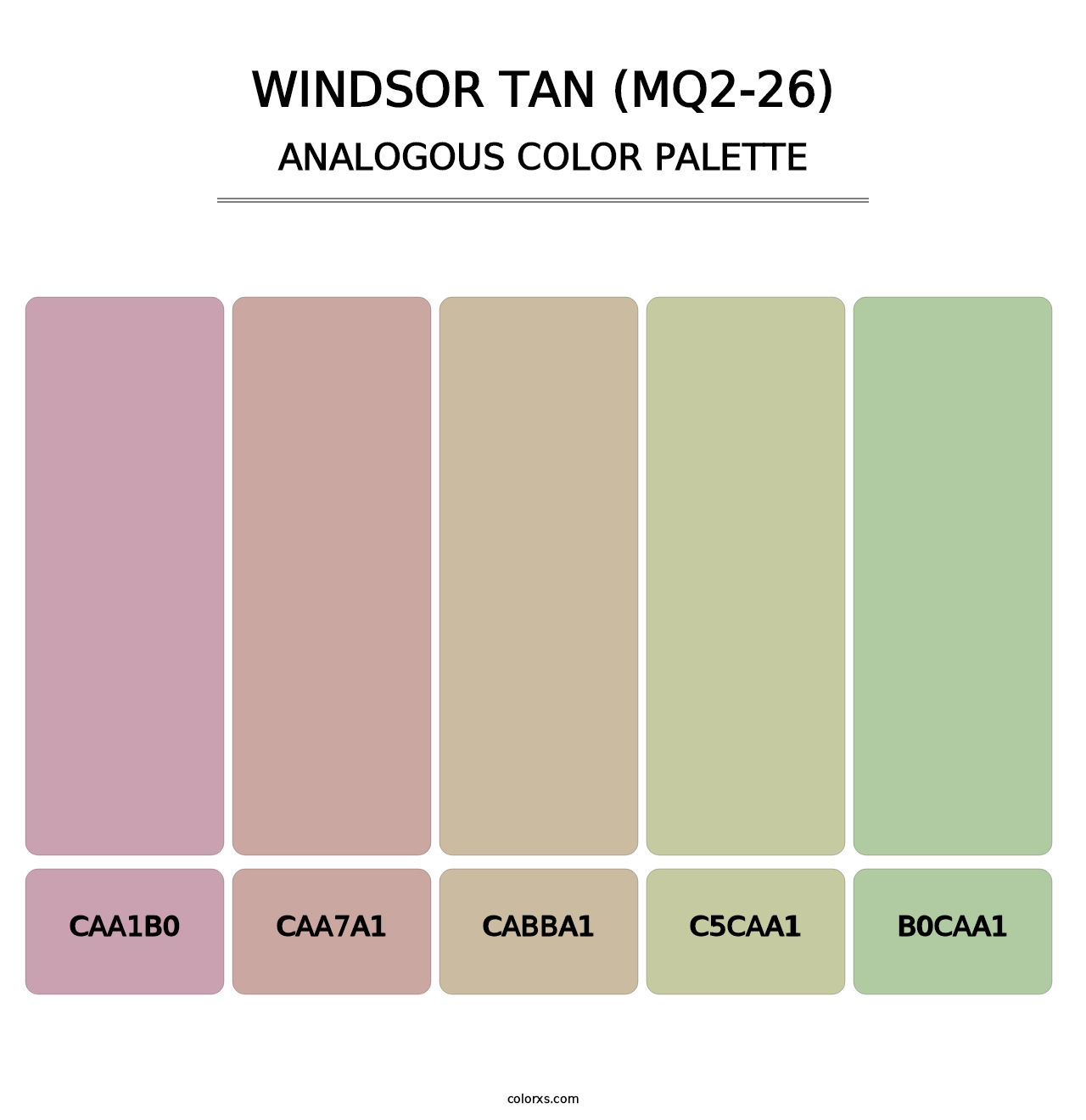 Windsor Tan (MQ2-26) - Analogous Color Palette