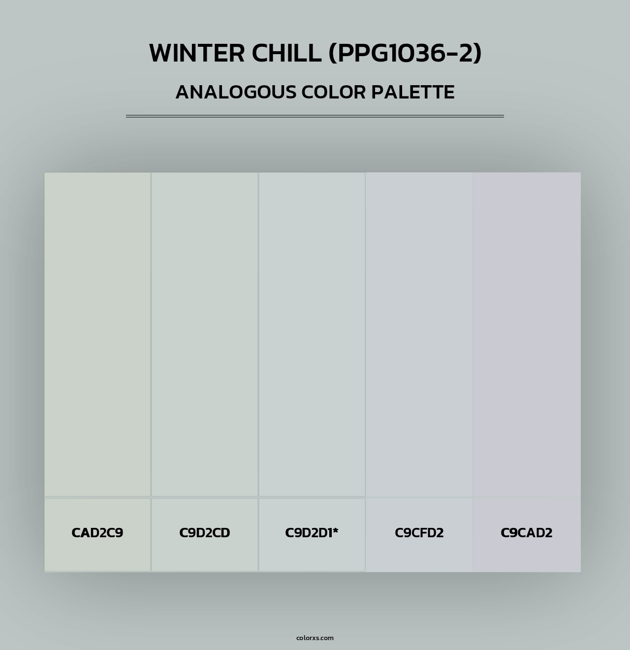 Winter Chill (PPG1036-2) - Analogous Color Palette