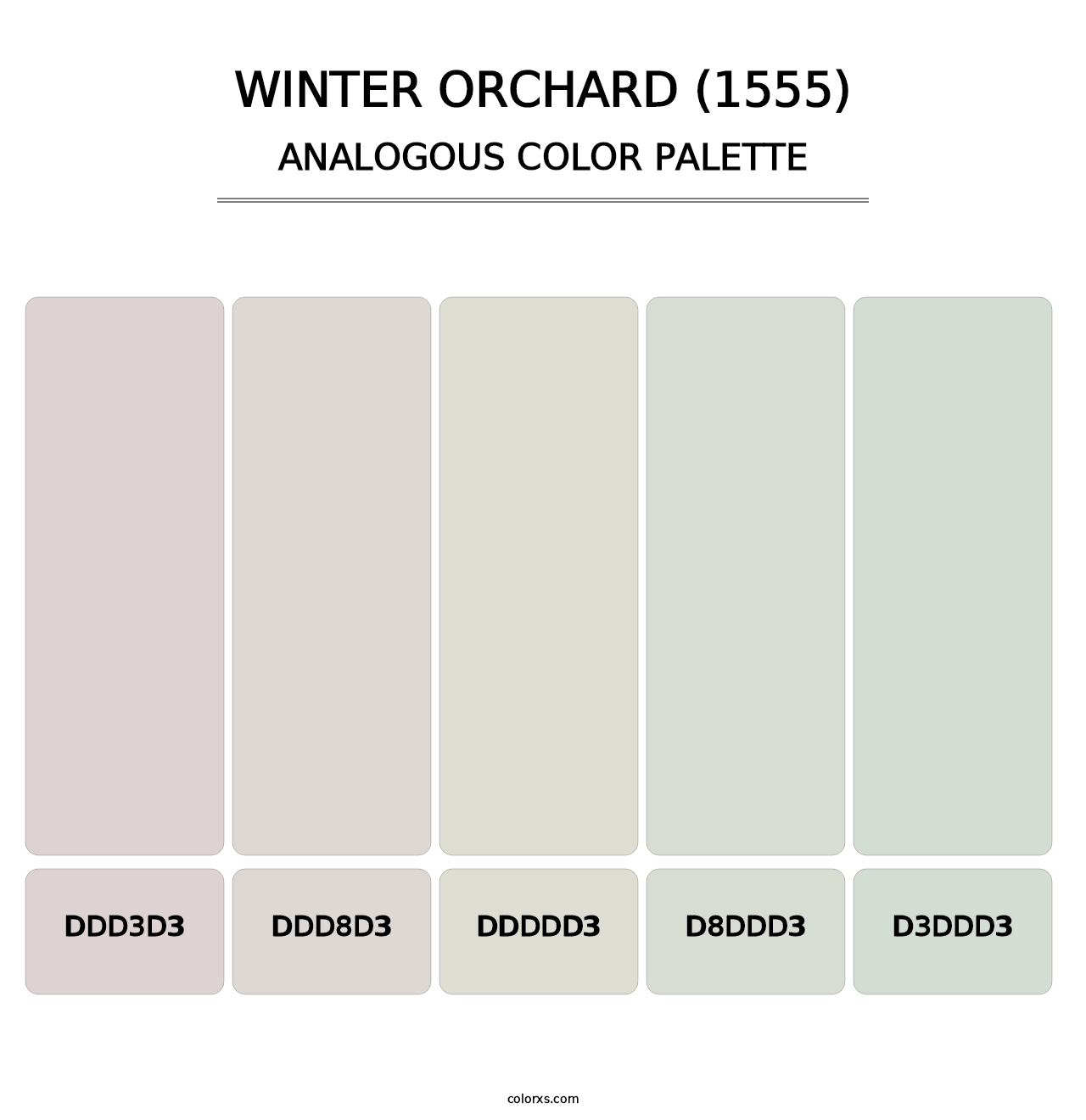 Winter Orchard (1555) - Analogous Color Palette