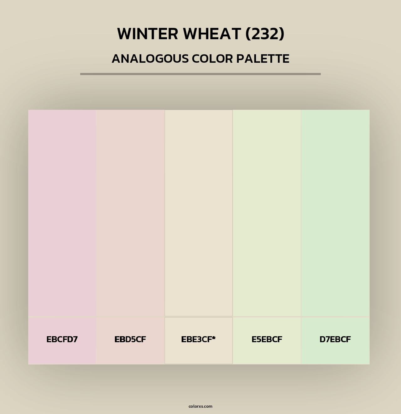 Winter Wheat (232) - Analogous Color Palette