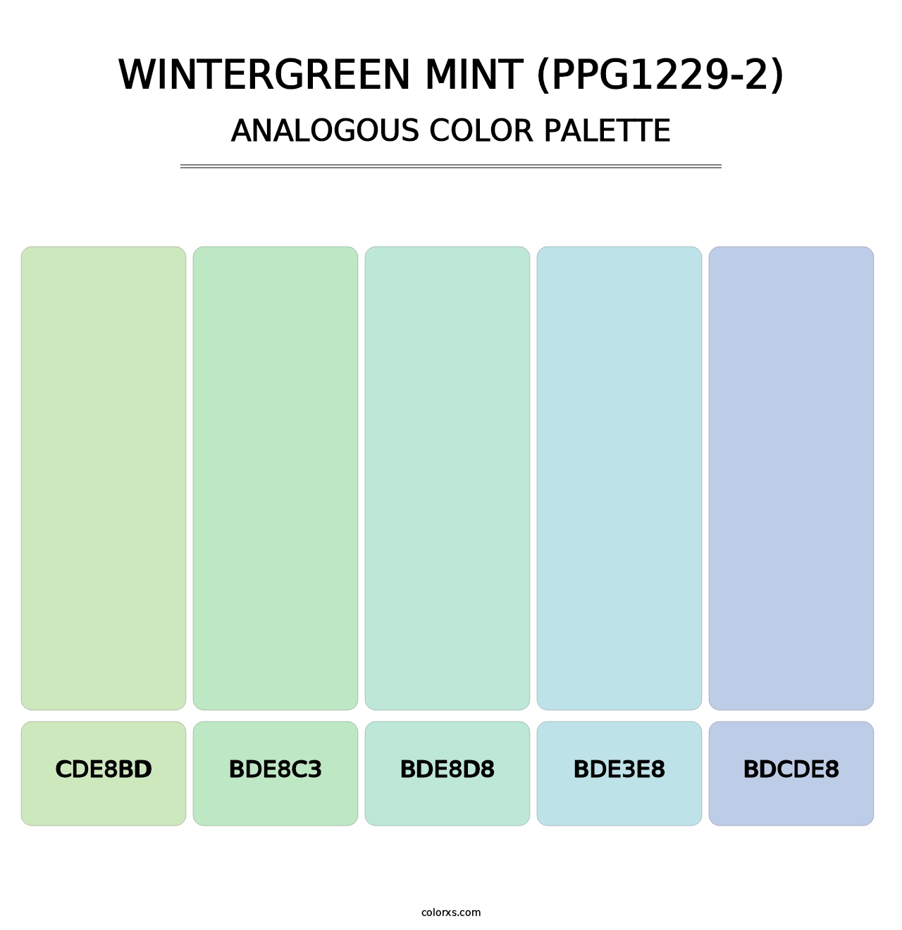 Wintergreen Mint (PPG1229-2) - Analogous Color Palette