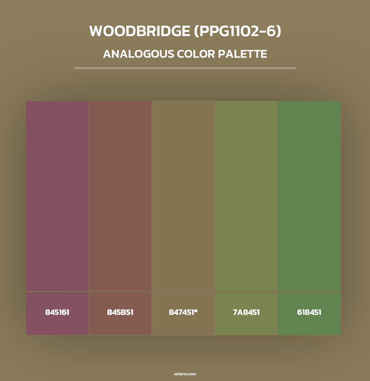Woodbridge (PPG1102-6) - Analogous Color Palette
