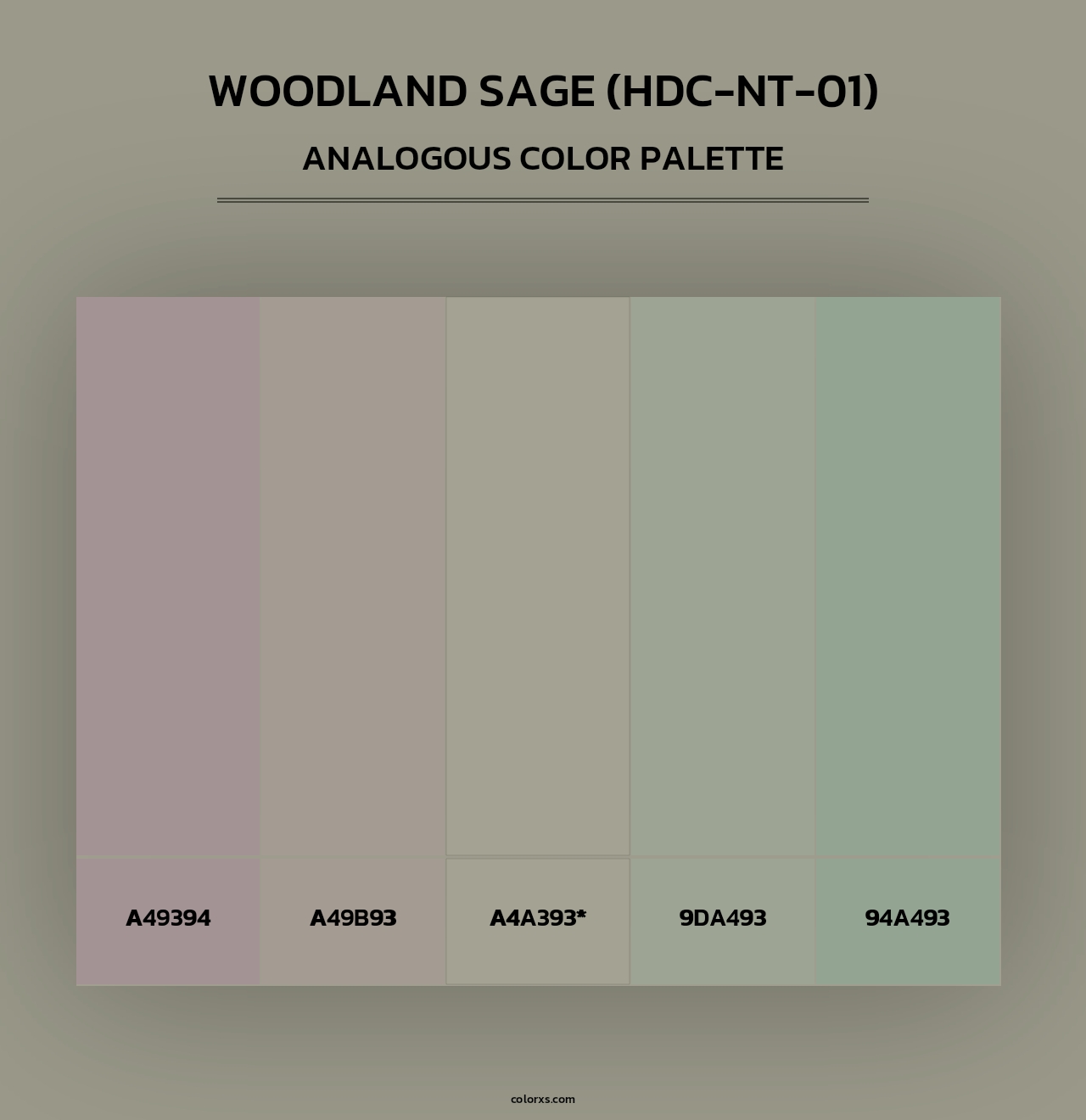 Woodland Sage (HDC-NT-01) - Analogous Color Palette