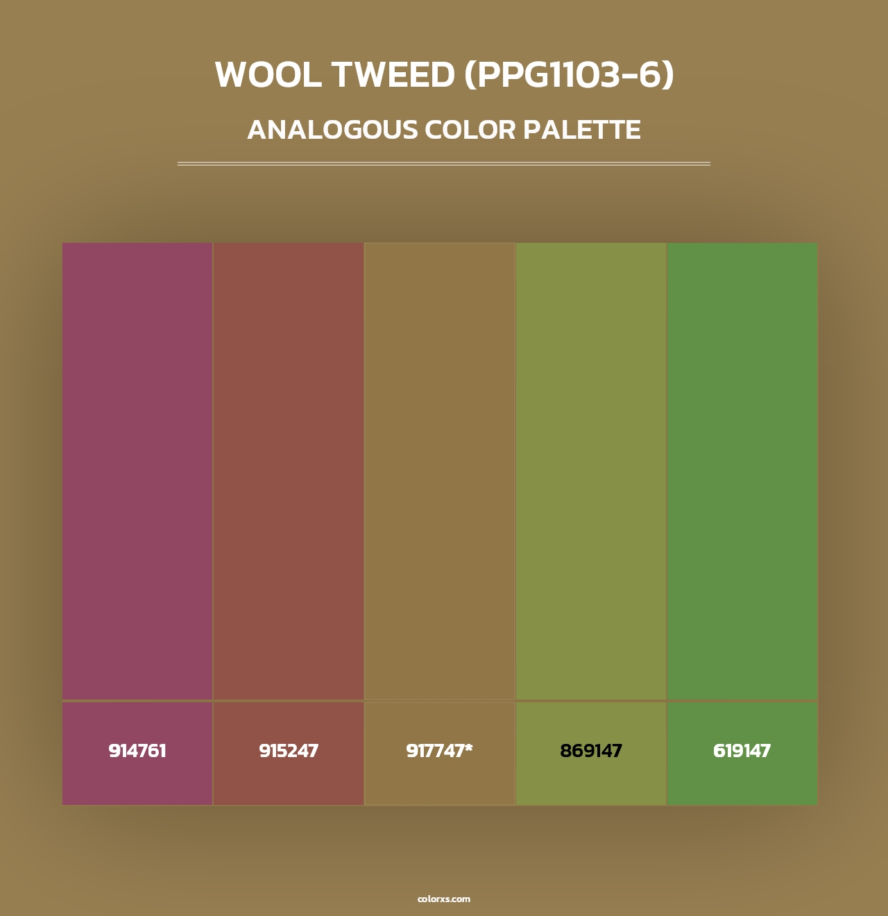 Wool Tweed (PPG1103-6) - Analogous Color Palette